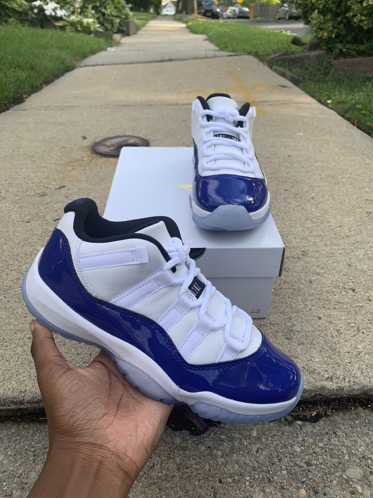 low concord sketch 11