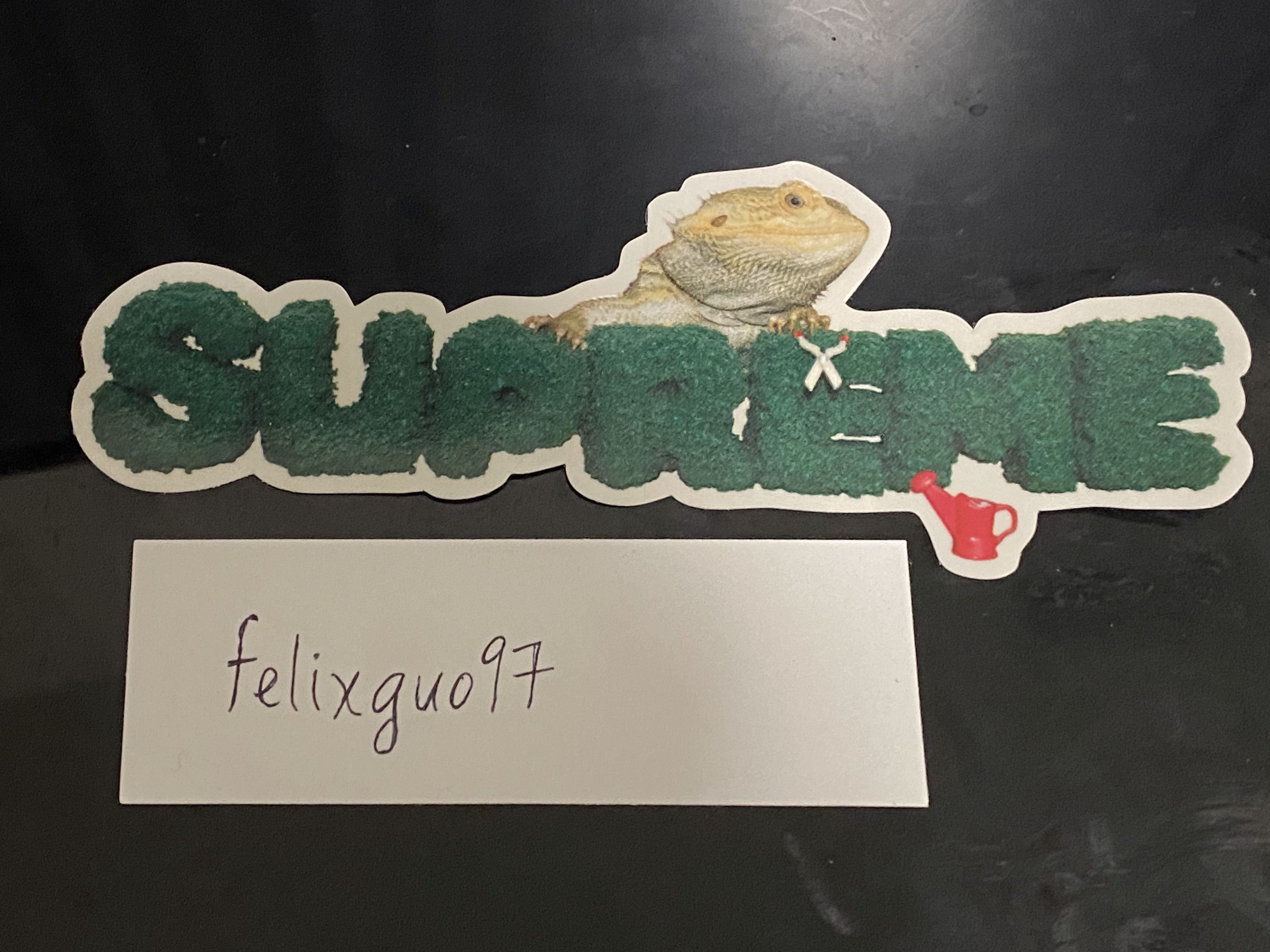 Supreme store lizard sticker