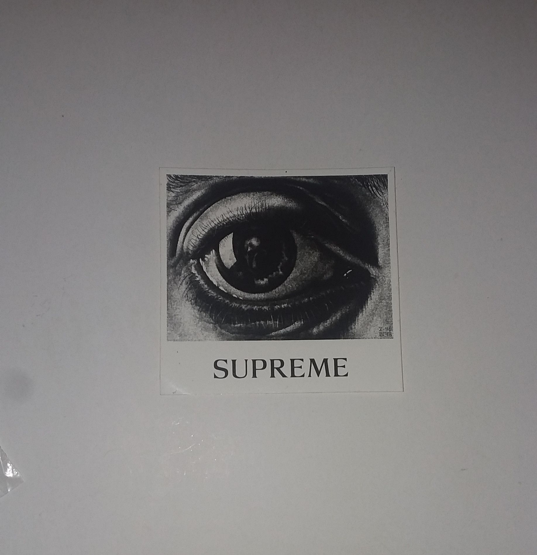 Supreme MC Escher Eye LS Tee Slate