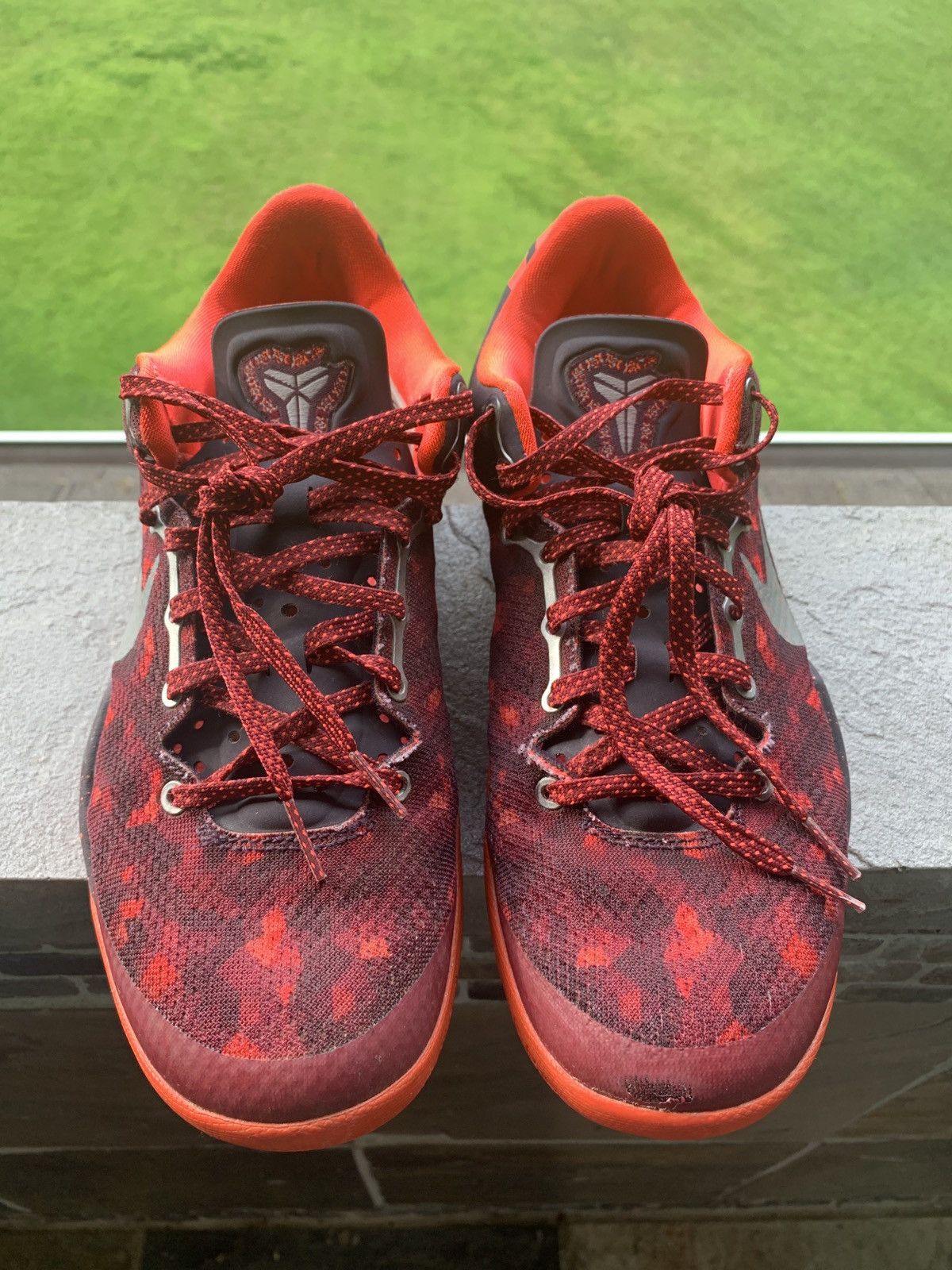 snakeskin kobe 8