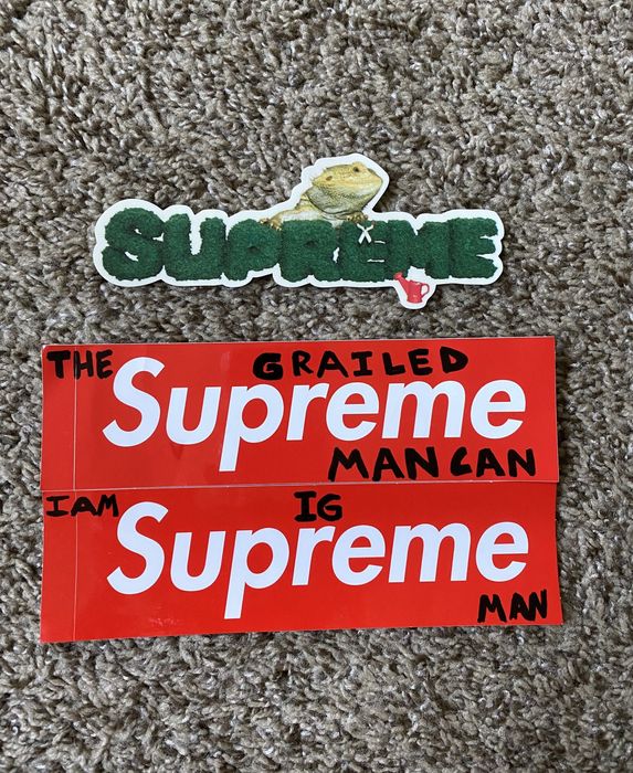 Supreme store lizard sticker