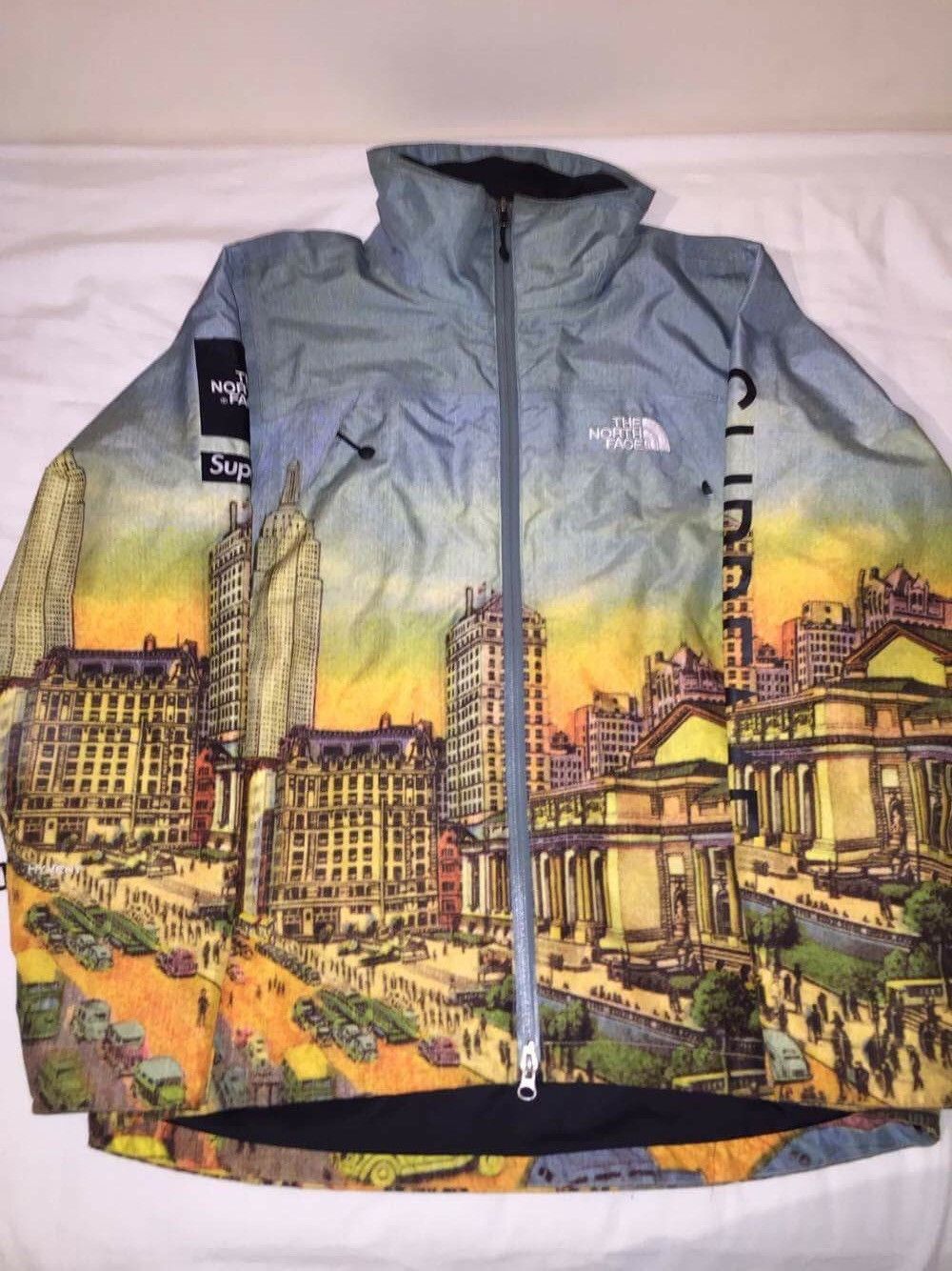 Supreme Supreme the north face tnf day summit skyline jacket Grailed