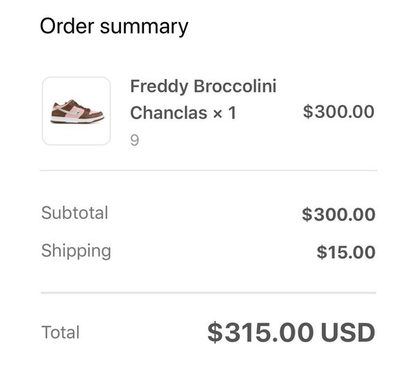 warren lotas stussy dunk
