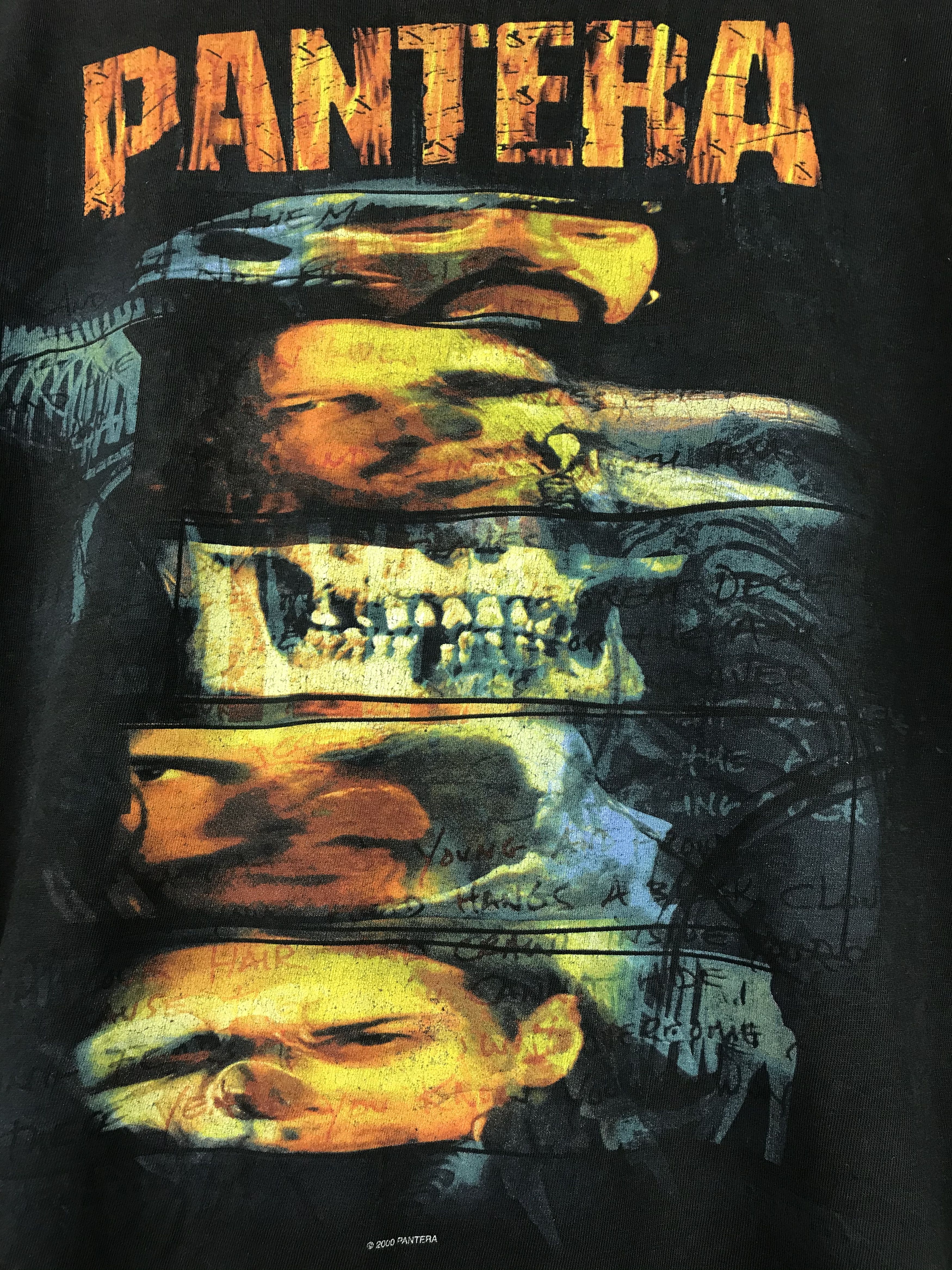 Band Tees 🔥 Vintage Pantera Winterland Distressed Metal Tee XL 🩸 Size US XL / EU 56 / 4 - 10 Thumbnail