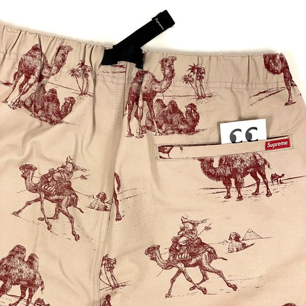 Supreme SUPREME CAMELS BELTED SHORTS 2012 GRAIL PINK RIPSTOP 30 SM