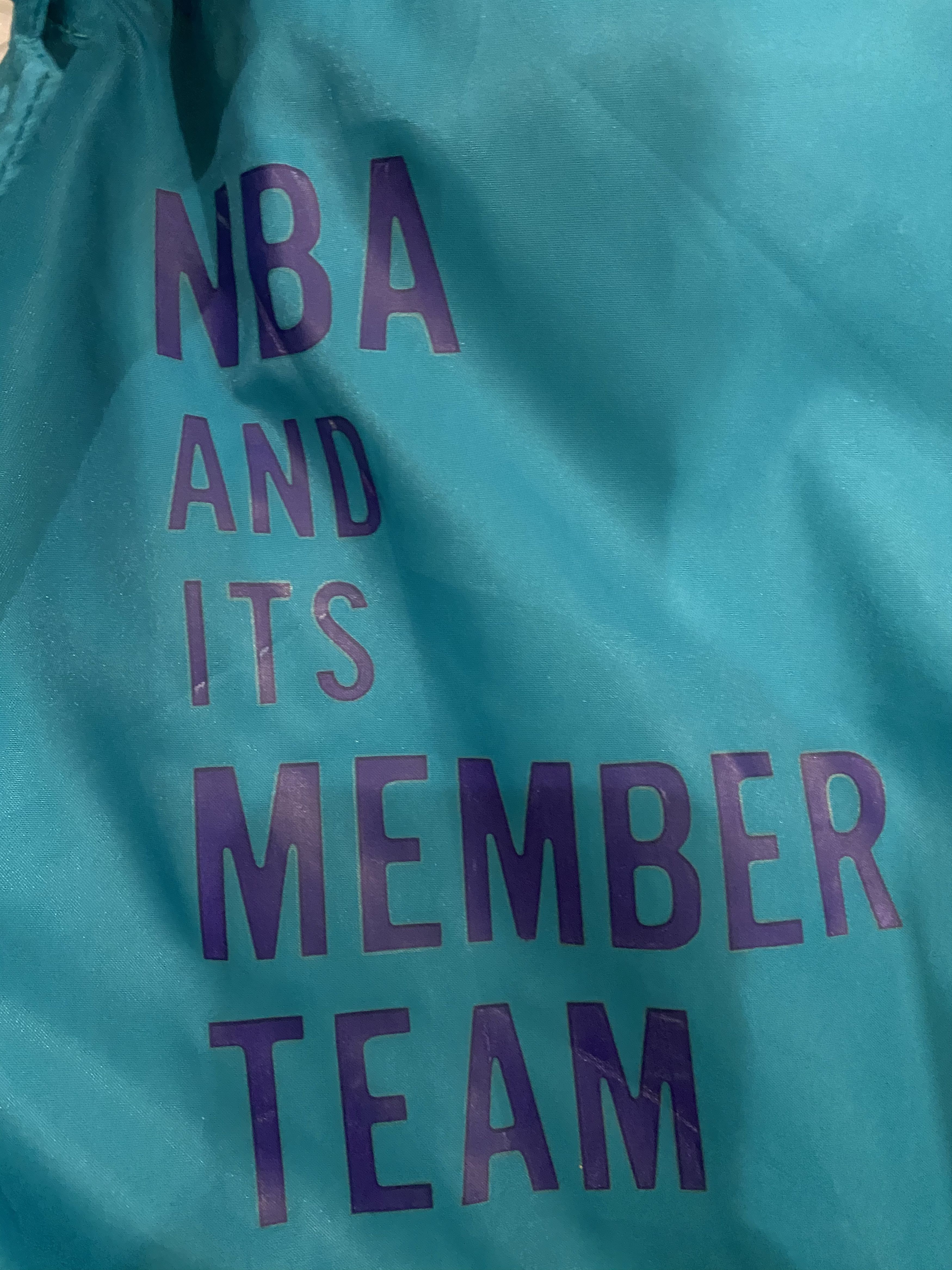 NBA VTG Charlotte Hornets NBA Basketball Hoodie Jacket Size US L / EU 52-54 / 3 - 6 Thumbnail