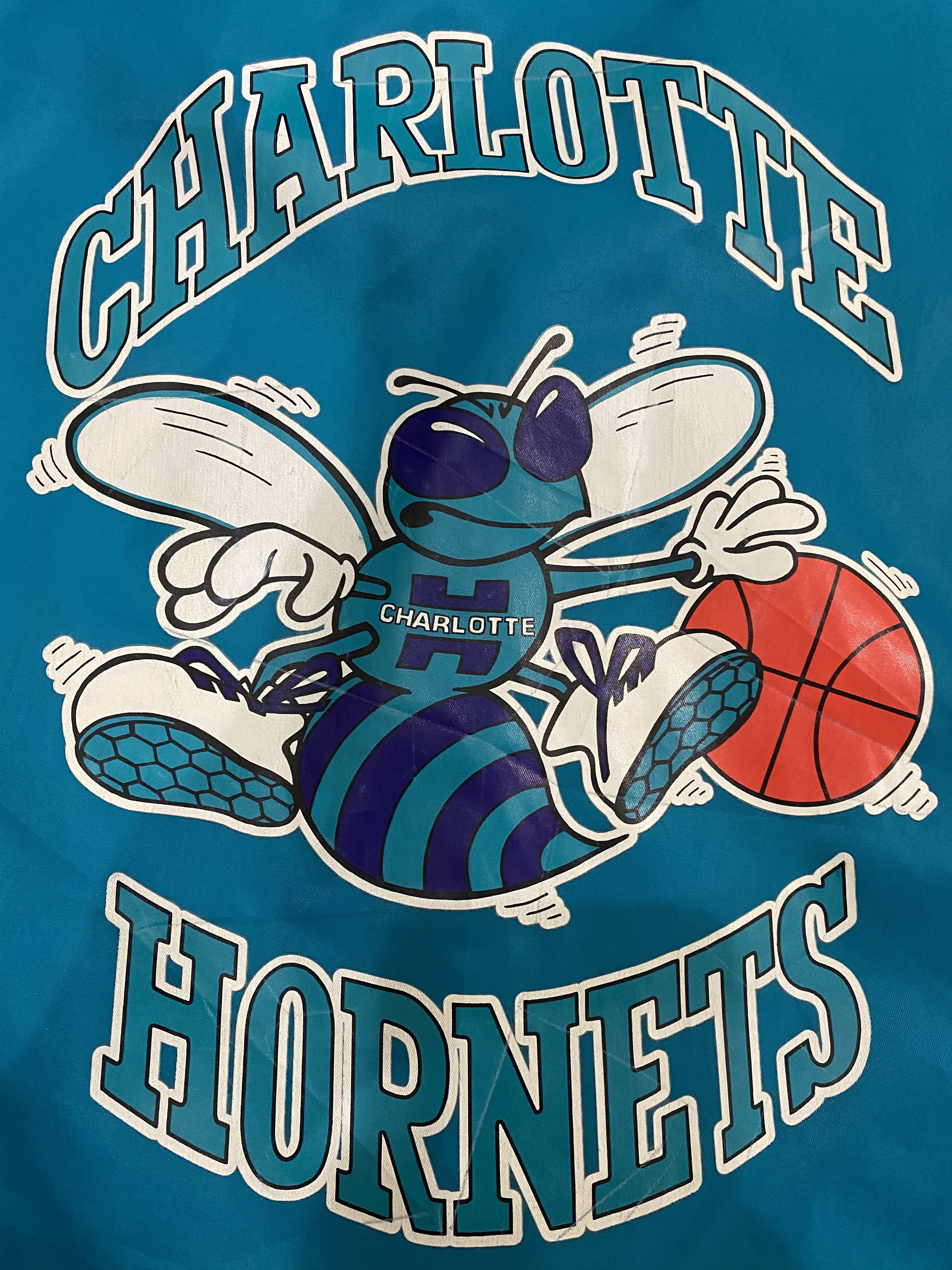NBA VTG Charlotte Hornets NBA Basketball Hoodie Jacket Size US L / EU 52-54 / 3 - 4 Thumbnail