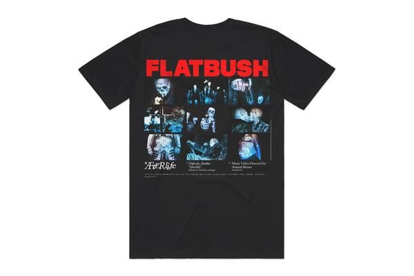 Flatbush Zombies Afterlife T-shirt size Large /comes w/ Flatbush odyssey pin Size US L / EU 52-54 / 3 - 1 Thumbnail