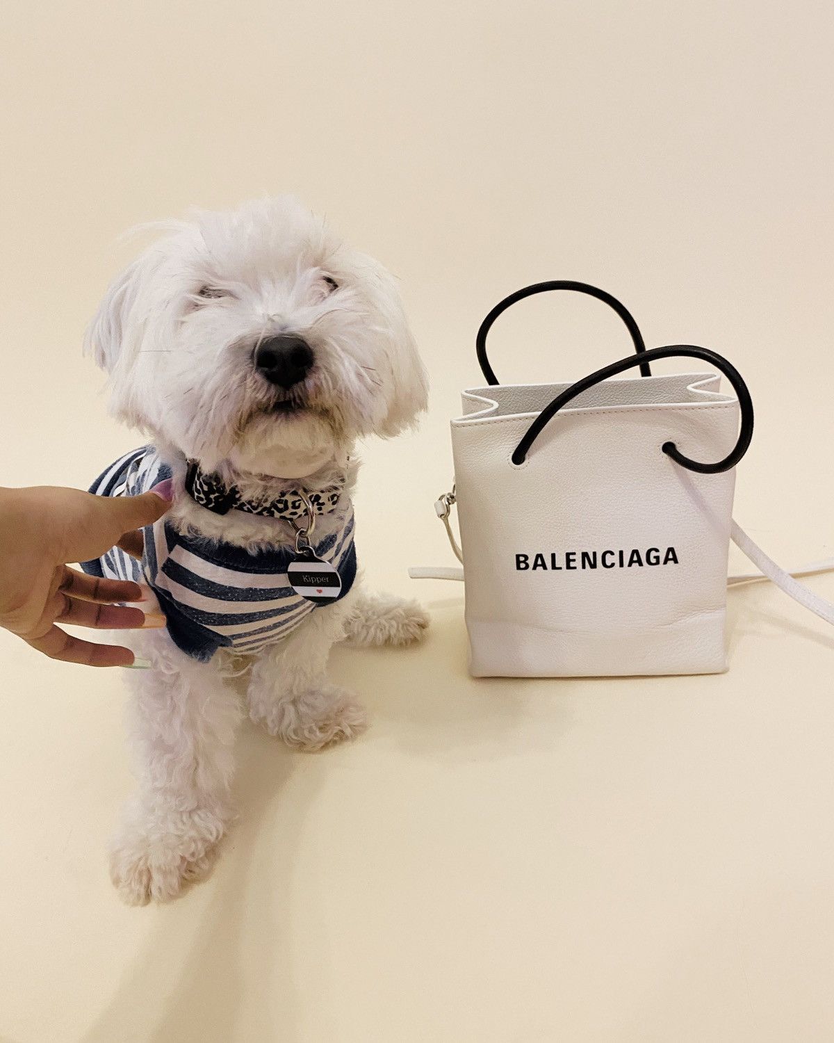 Balenciaga BALENCIAGA SHOPPING XXS NORTH SOUTH TOTE BAG