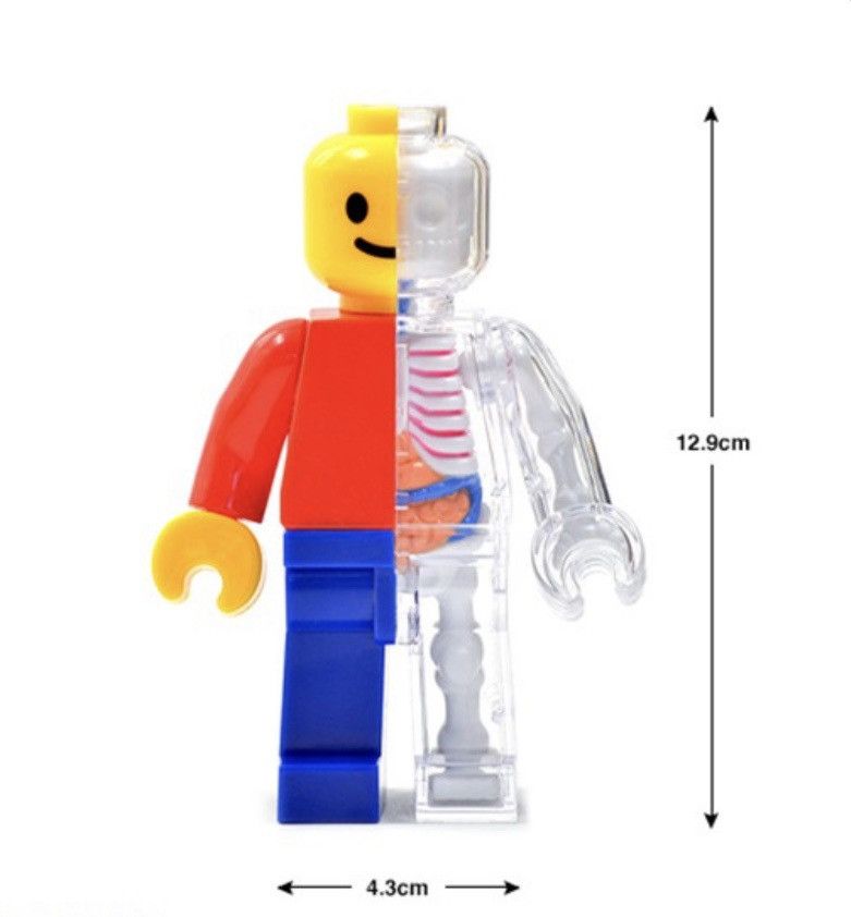 Lego Brick Man Anatomy Jason Freeny Grailed