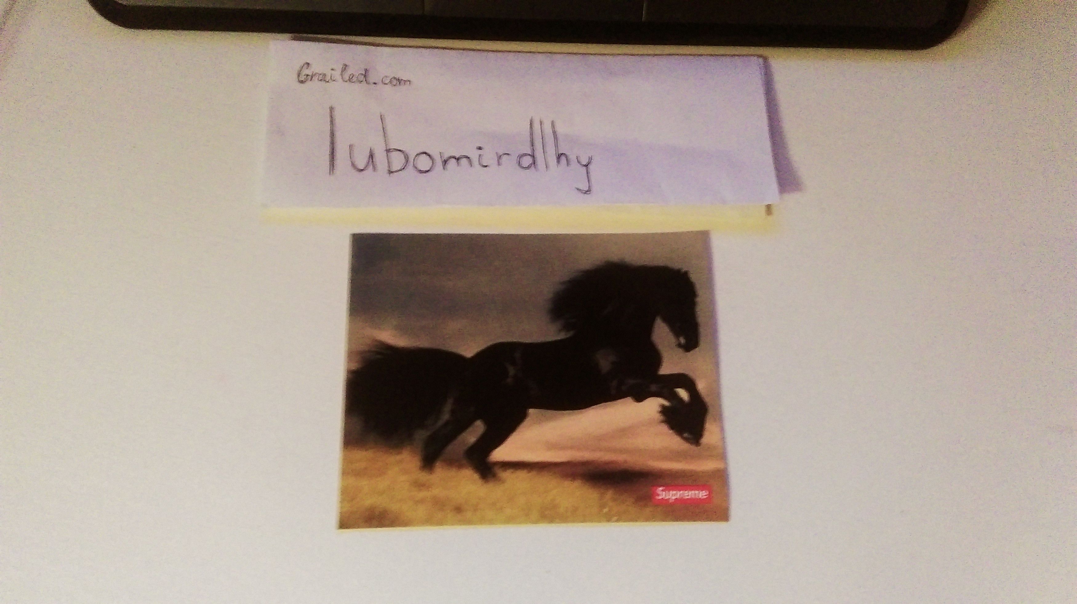 Supreme Supreme Black Stallion Sticker Grailed