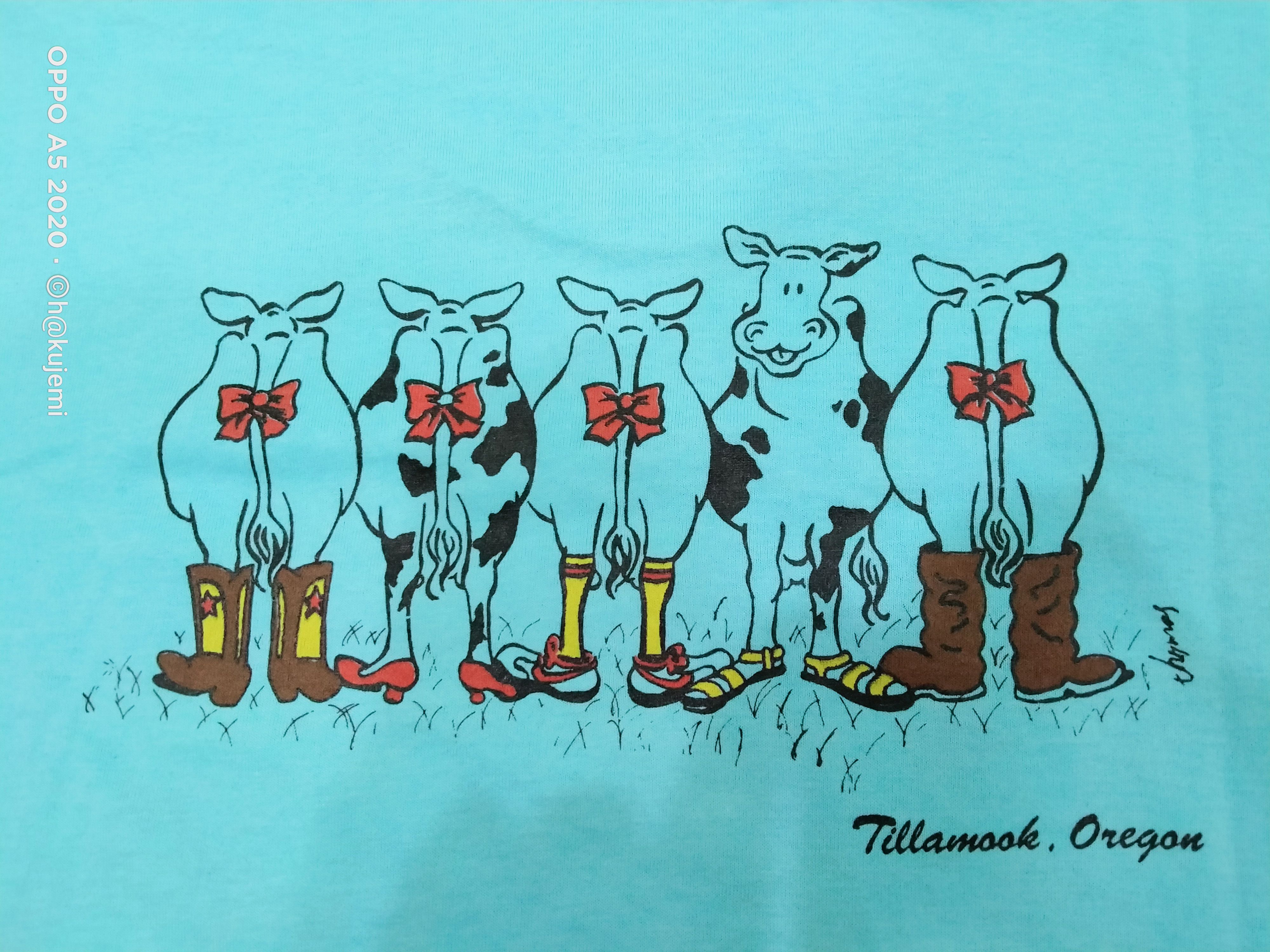 Vintage Vintage 90s Screen Star Tillamook Oregon Size US L / EU 52-54 / 3 - 10 Thumbnail