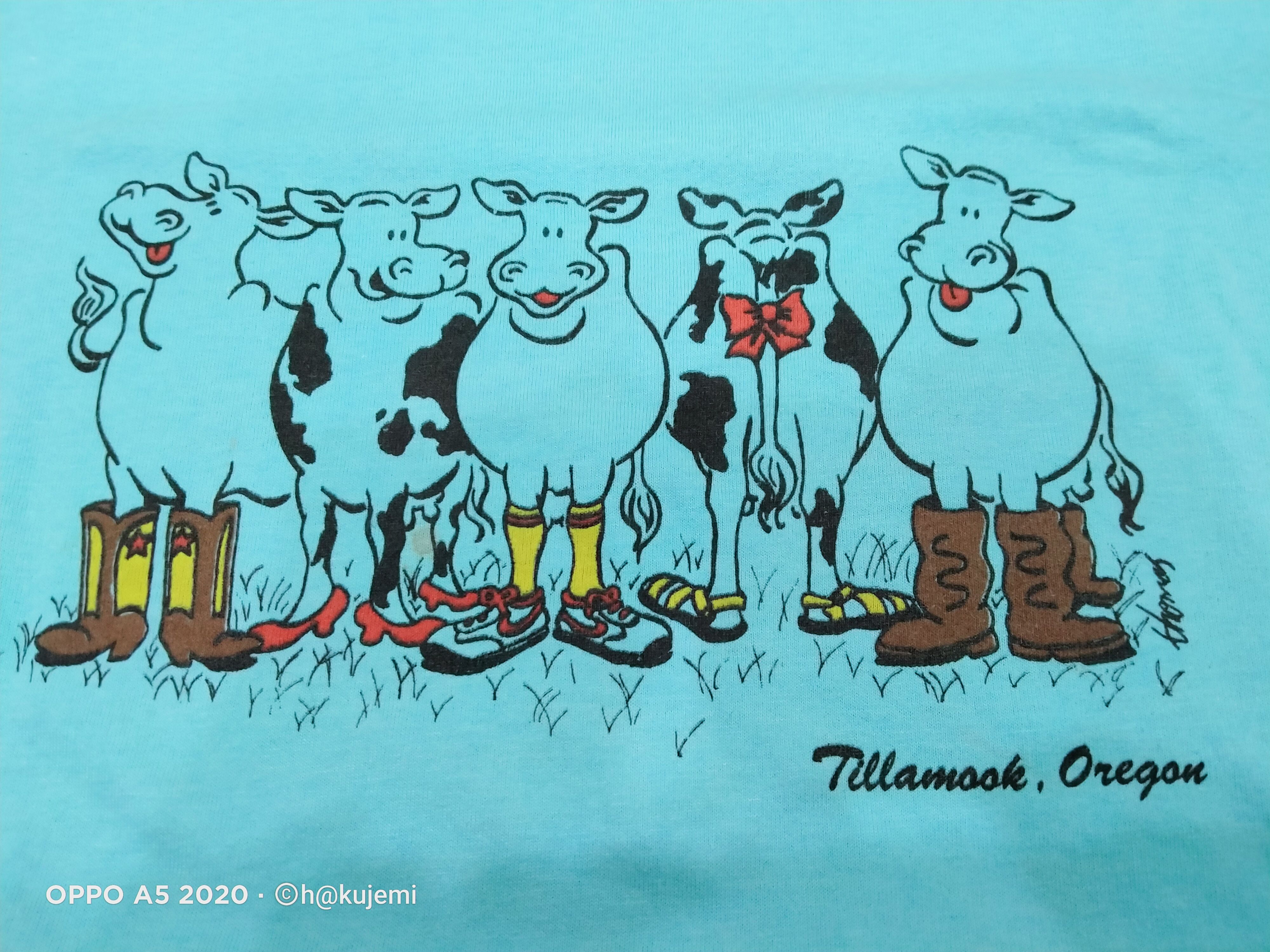 Vintage Vintage 90s Screen Star Tillamook Oregon Size US L / EU 52-54 / 3 - 8 Thumbnail