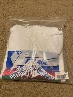 Palace shop fuji hoodie