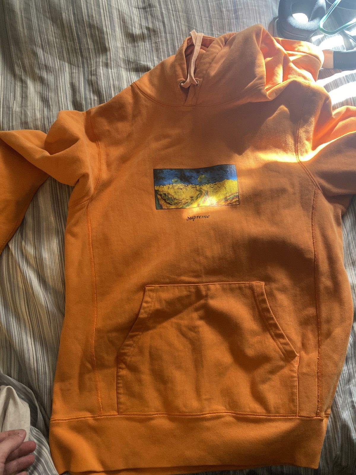 Supreme Van Gogh Hoodie | Grailed