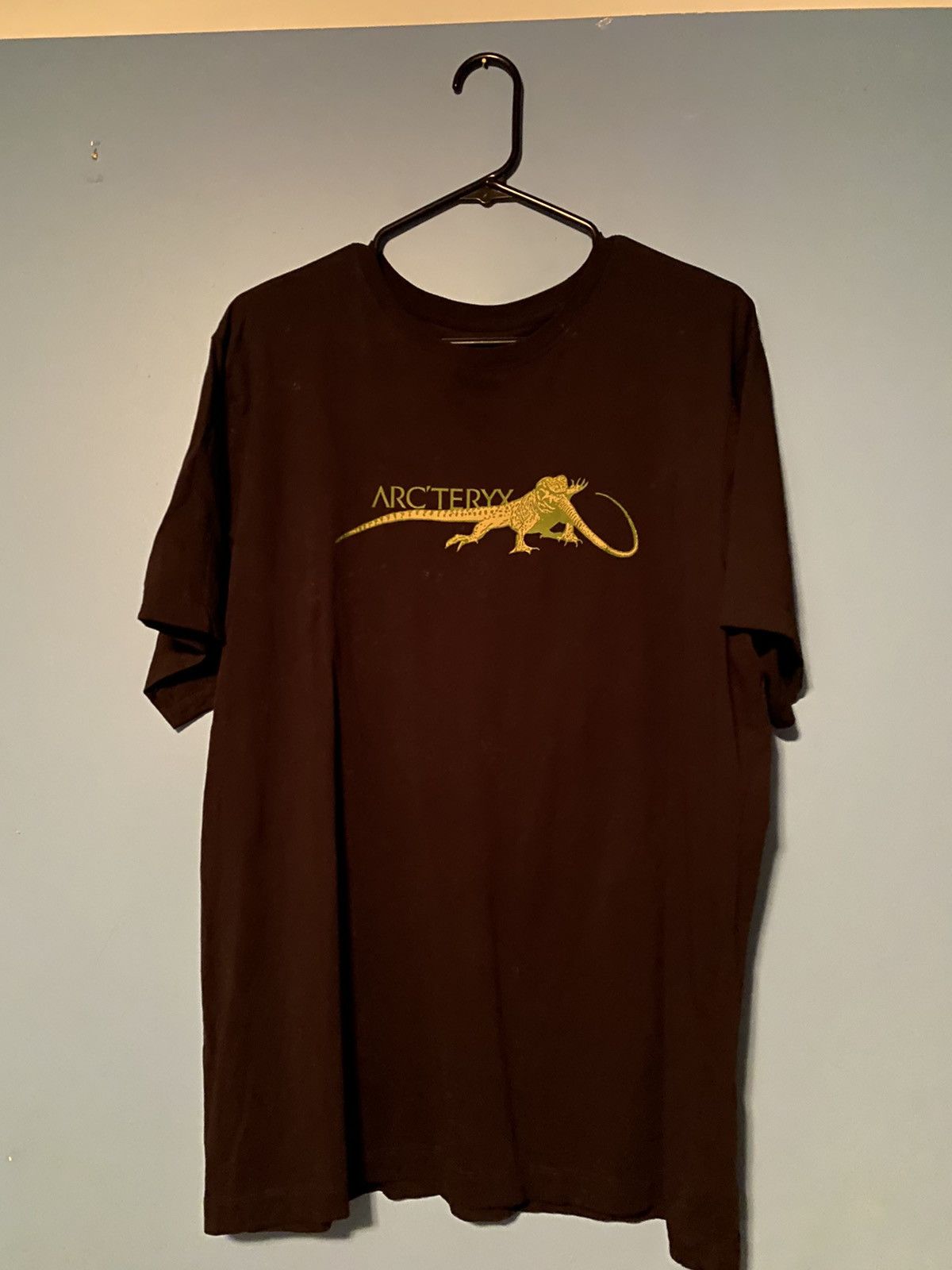 新着商品 【激レア 国内正規品】ARC´TERYX Lizard Eat T-Shirt | www