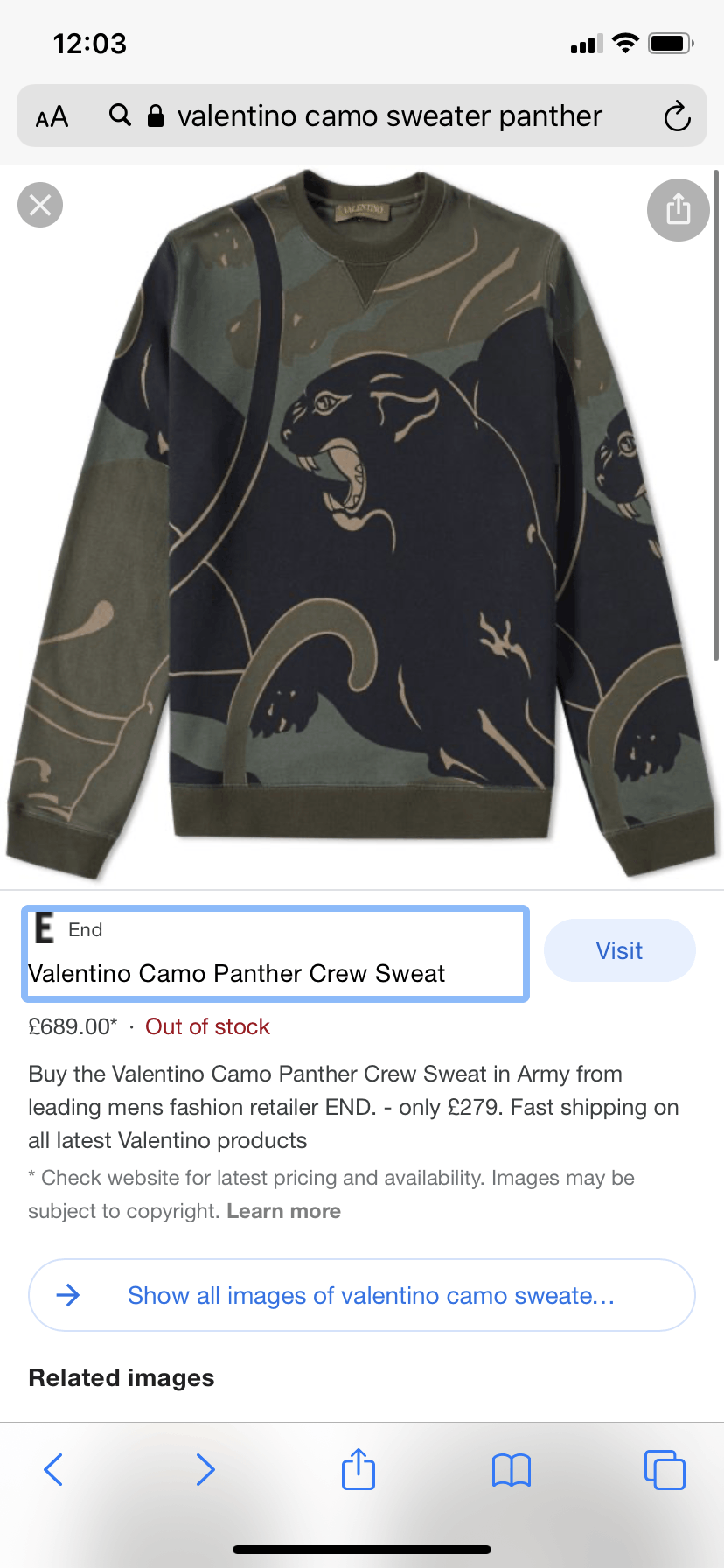 Valentino panther sweatshirt | Grailed