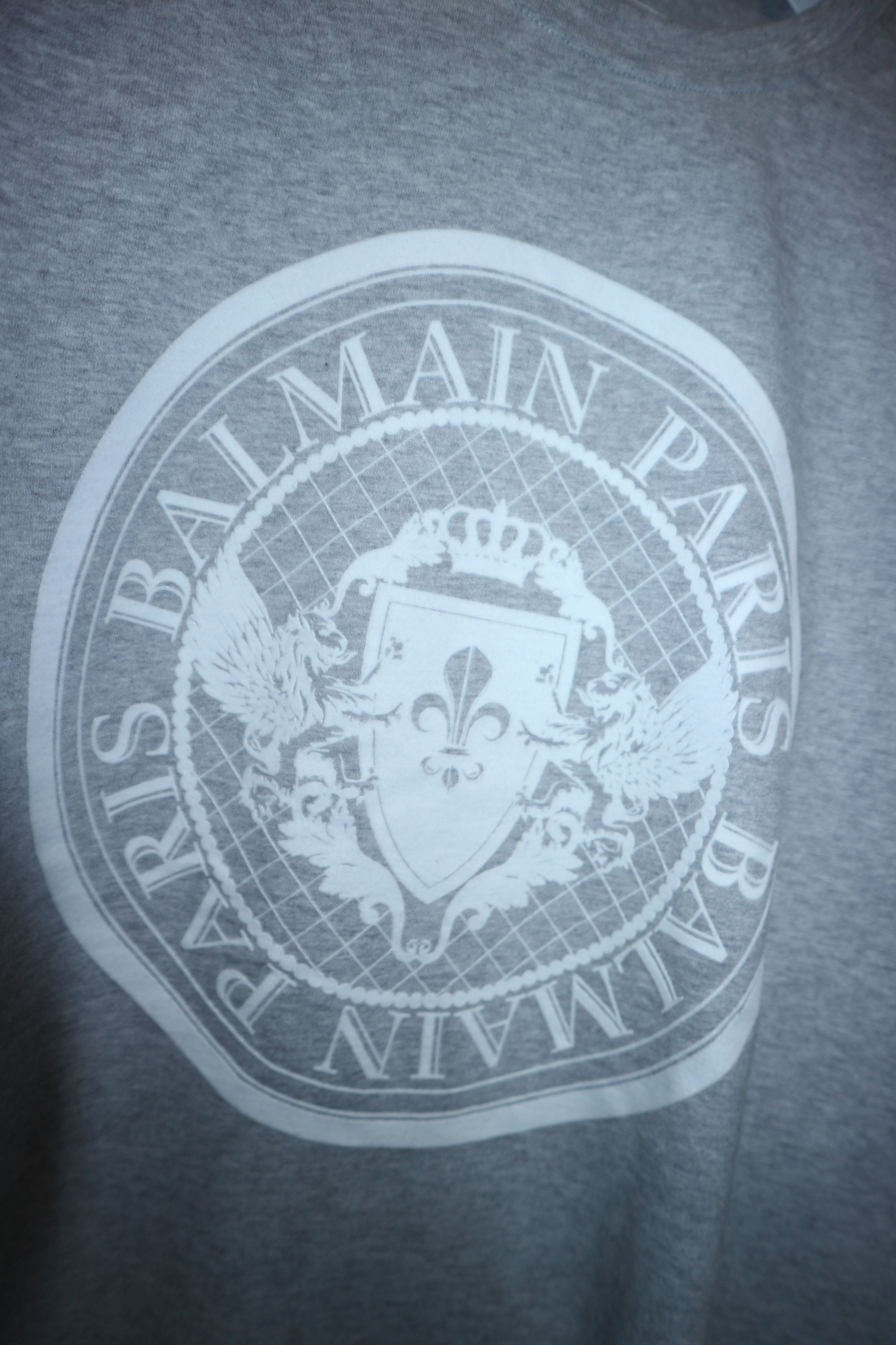 Balmain Flocked logo print t-shirt Size US XXL / EU 58 / 5 - 8 Thumbnail