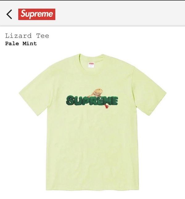 Supreme Supreme Lizard Tee (Pale Mint) | Grailed