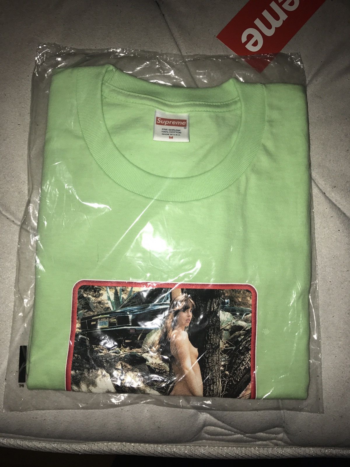 Supreme Supreme Green Logo Larry Clark Girl Tee Shirt Nude | Grailed