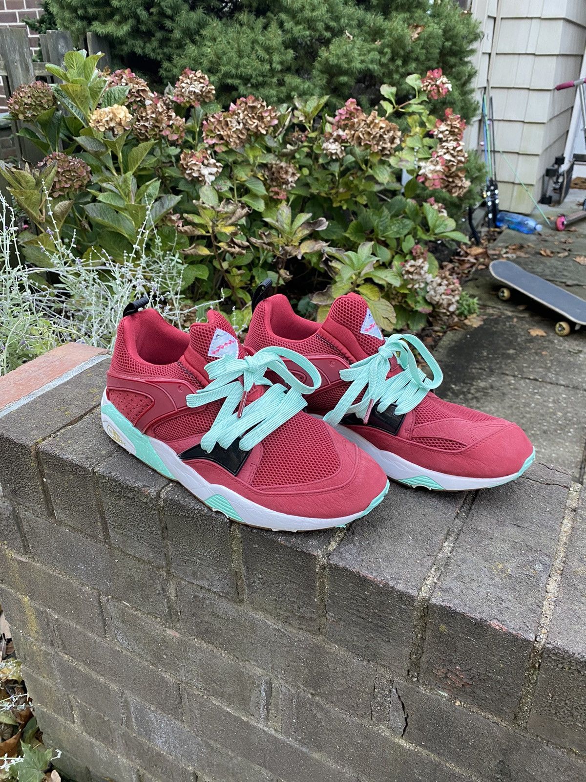 Packer Shoes × Puma Puma x Sneakerfreaker x Packer BOG Bloodbath | Grailed