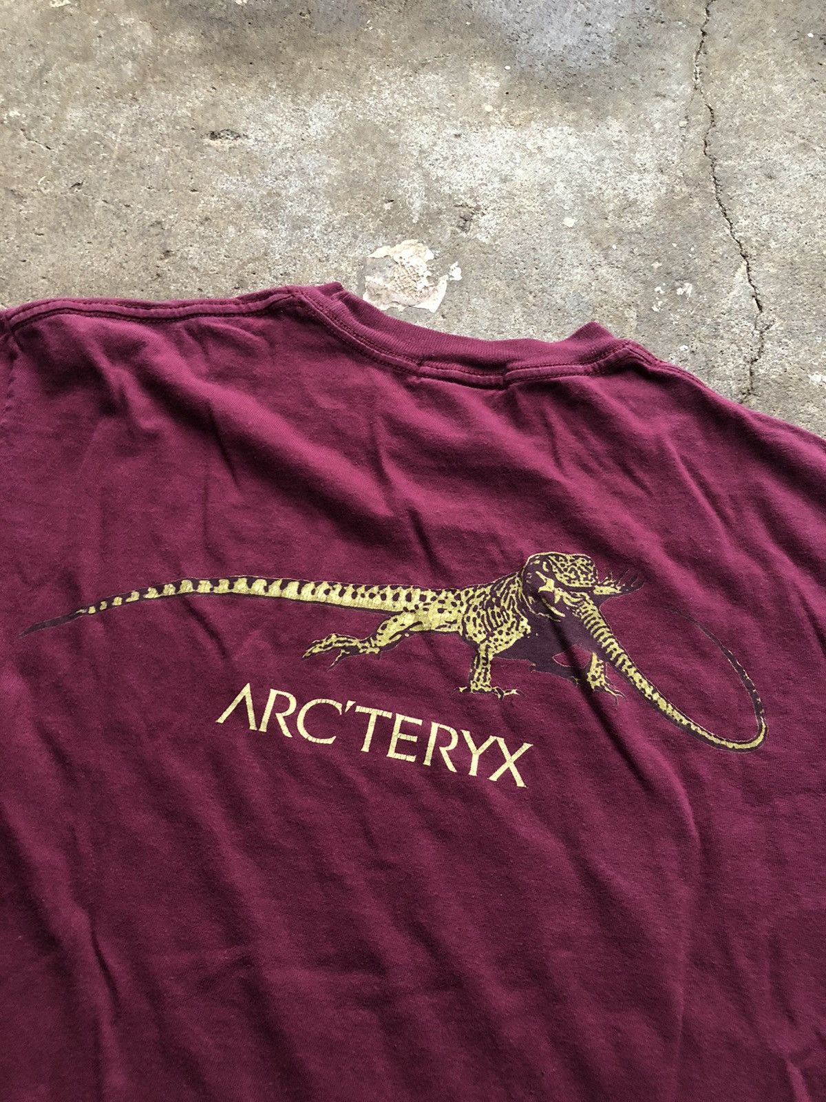 Arc'teryx × Vintage 1999 Rare Arcteryx Lizard T-Shirt Size M | Grailed