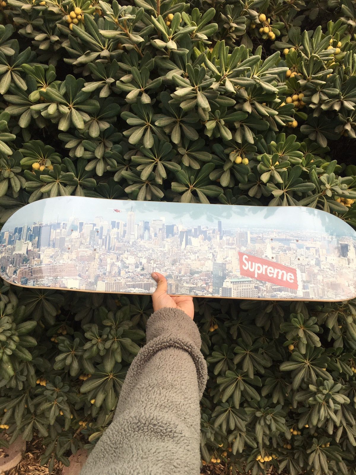 supreme Aerial Skateboard