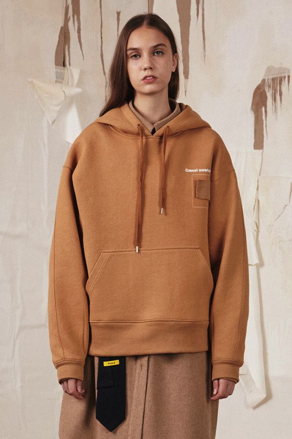 Camel 2025 swatch hoodie