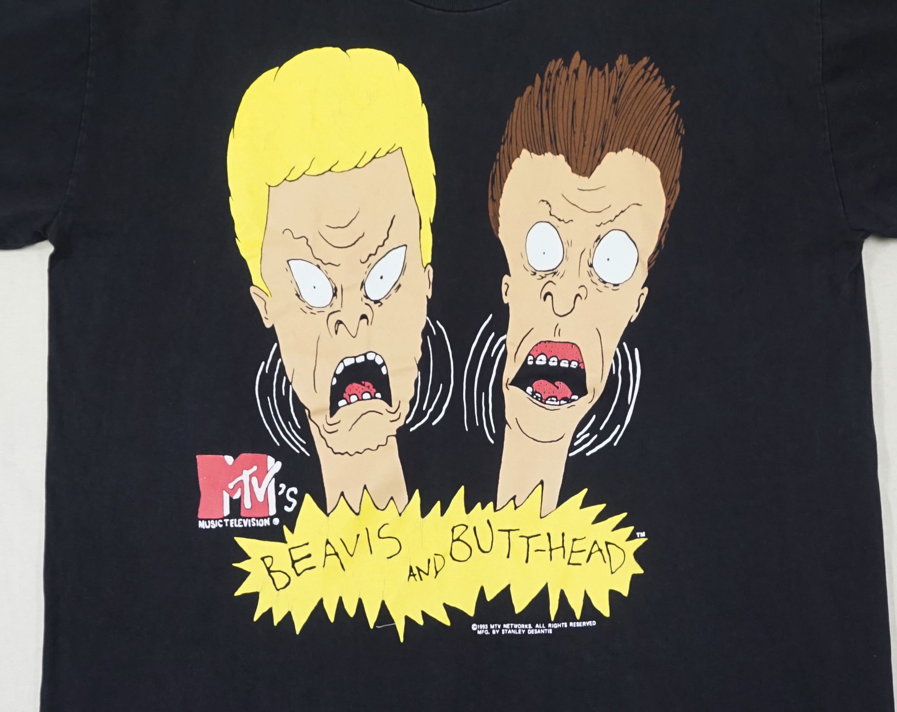 RARE 1993 MTV