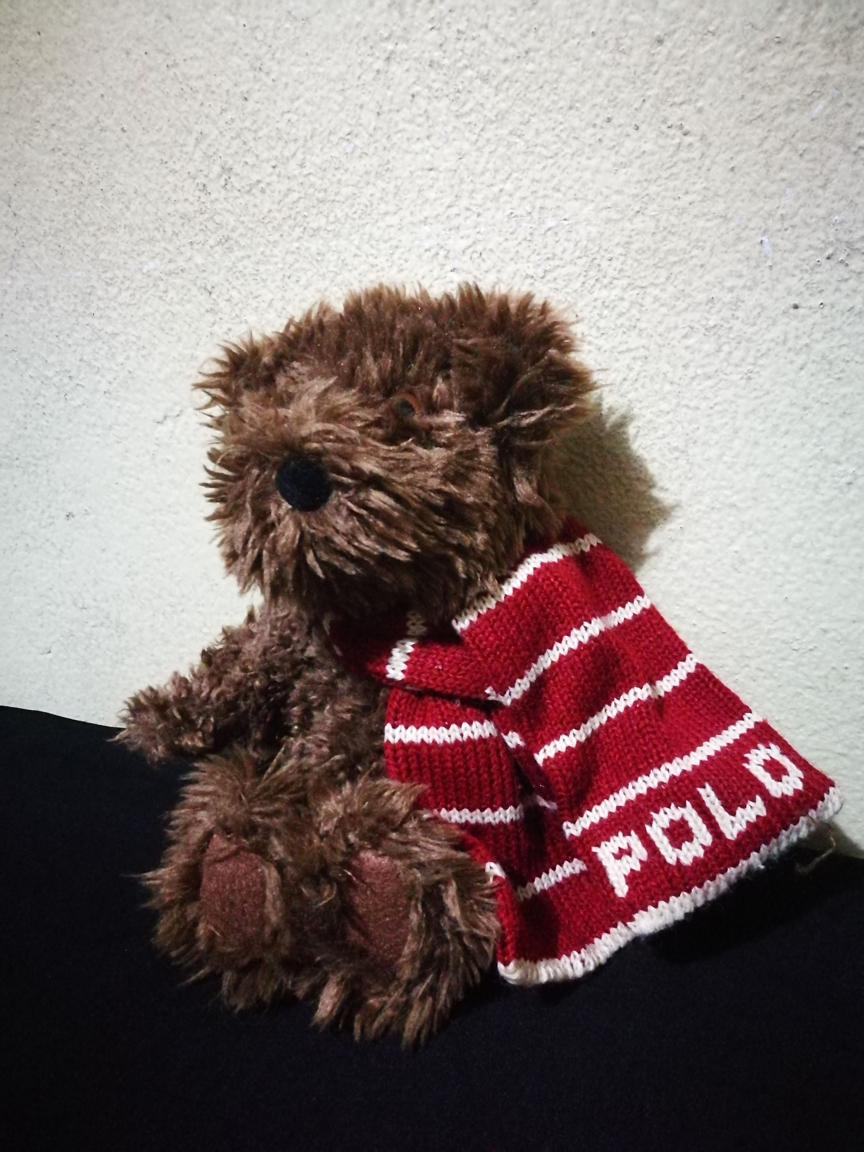 Polo Ralph Lauren × Vintage Vintage TEDDY BEAR polo ralph lauren Size ONE SIZE - 5 Thumbnail