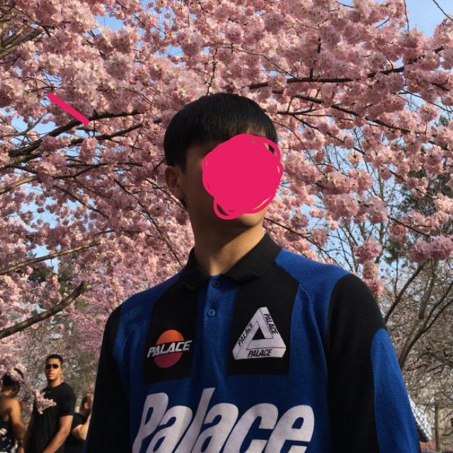 Palace Palace Palazzo Knit Jersey | Grailed