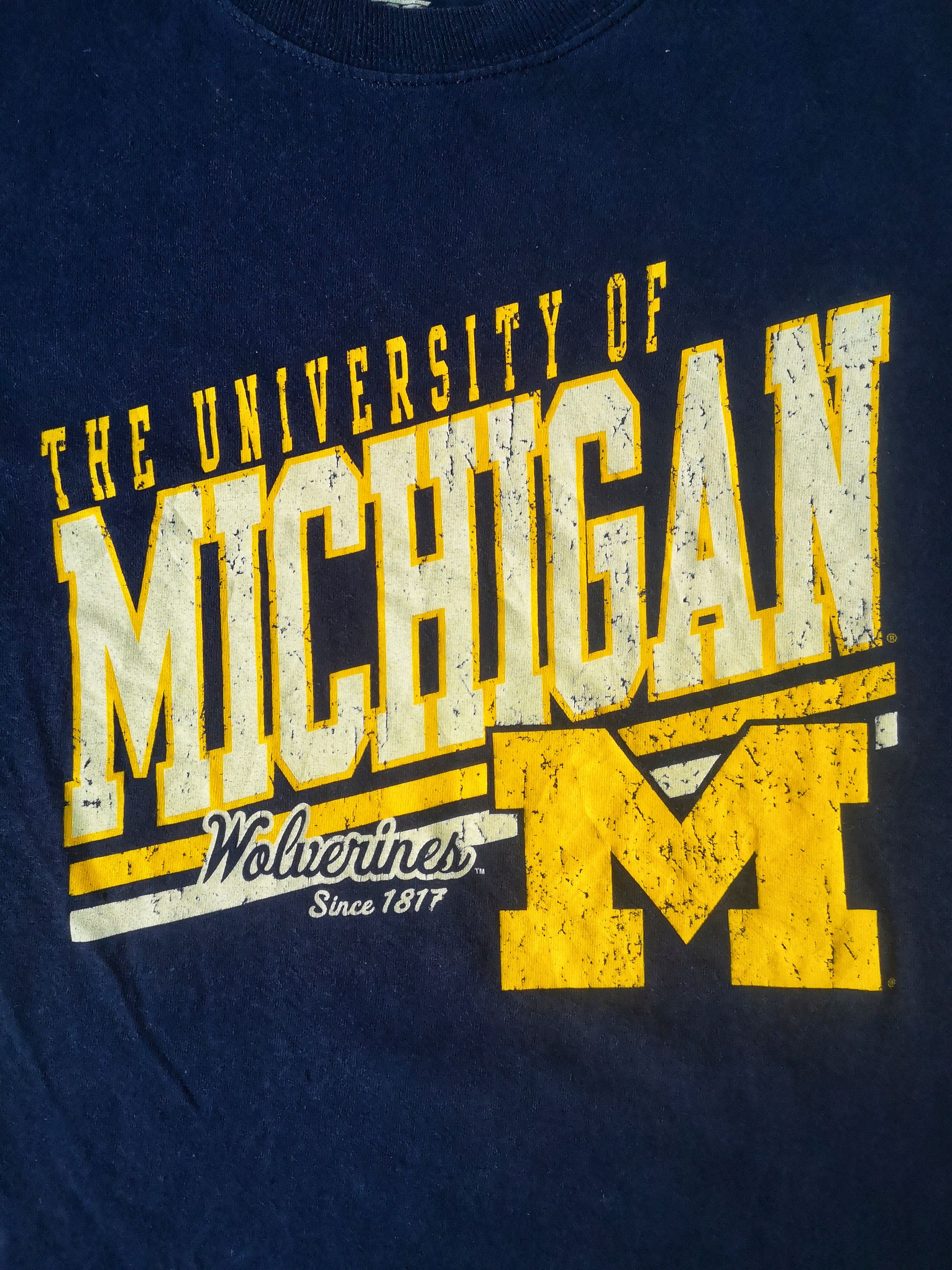 Vintage Vintage Michigan University Tee Size US S / EU 44-46 / 1 - 3 Thumbnail