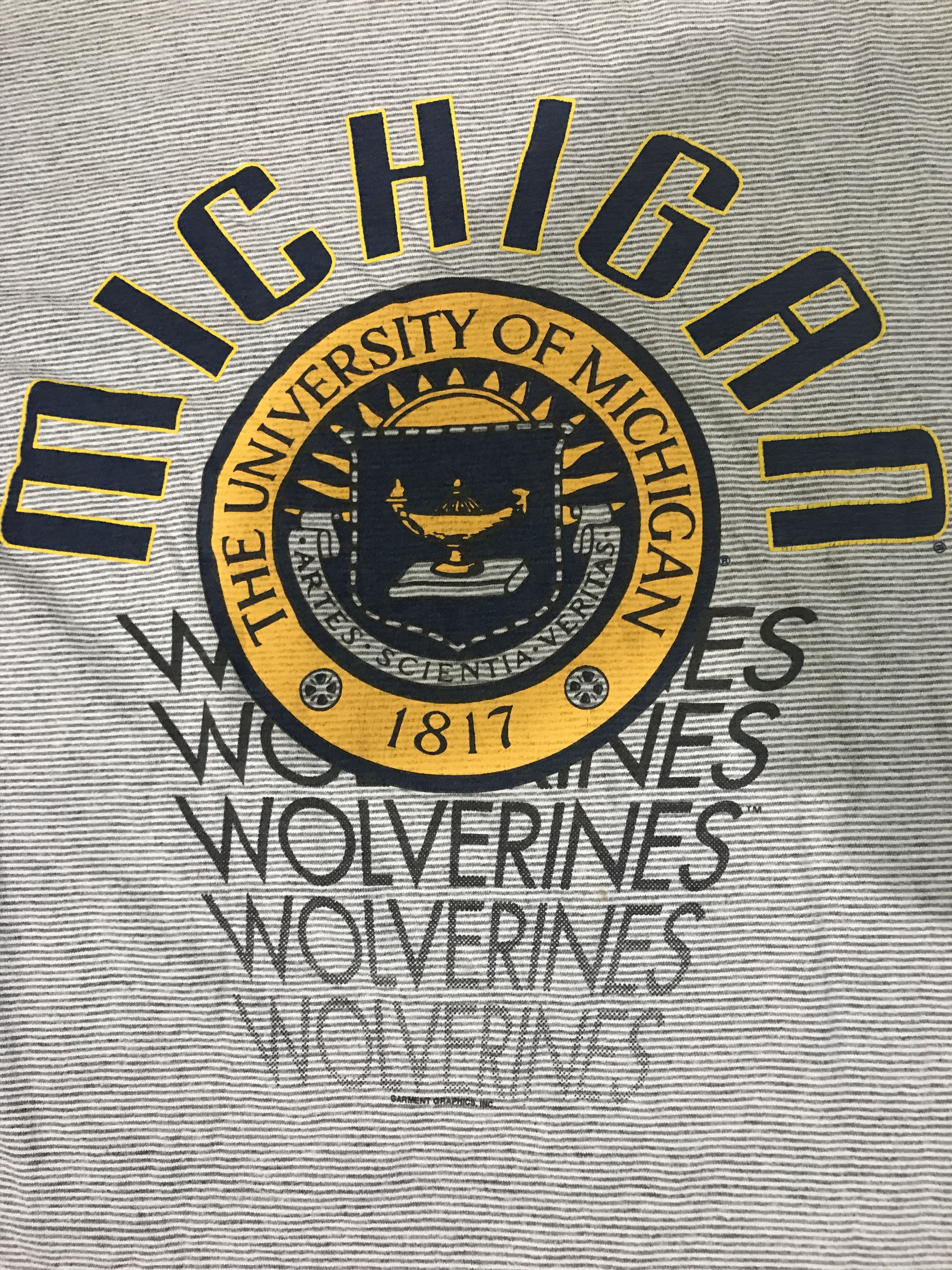 Vintage Vintage 90's University Of Michigan Wolverines T-Shirt Size US L / EU 52-54 / 3 - 5 Thumbnail