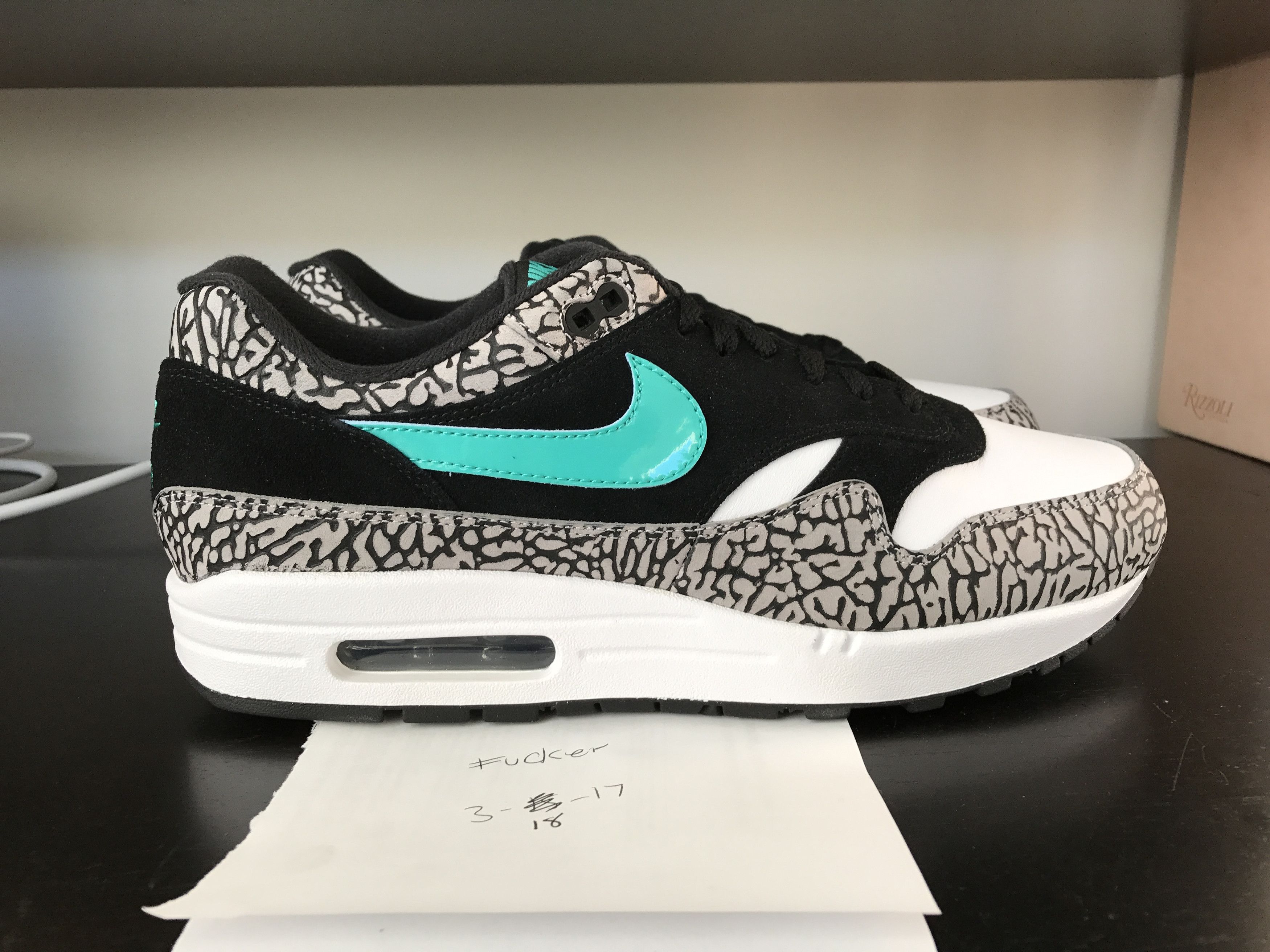 Air Max 1 'Atmos'