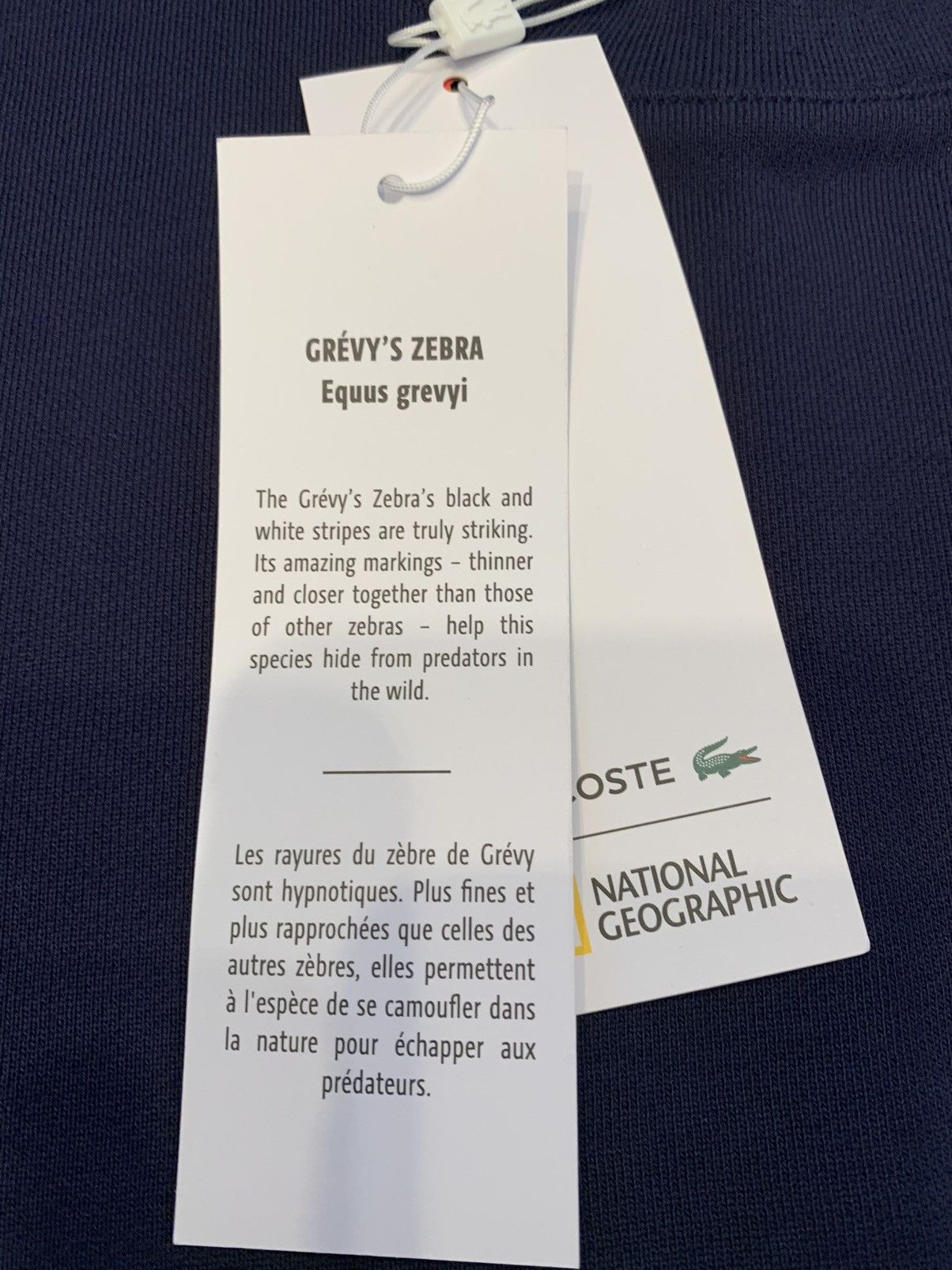 Lacoste LACOSTE x NATIONAL GEOGRAPHIC SWEATSHIRT Size US M / EU 48-50 / 2 - 5 Thumbnail