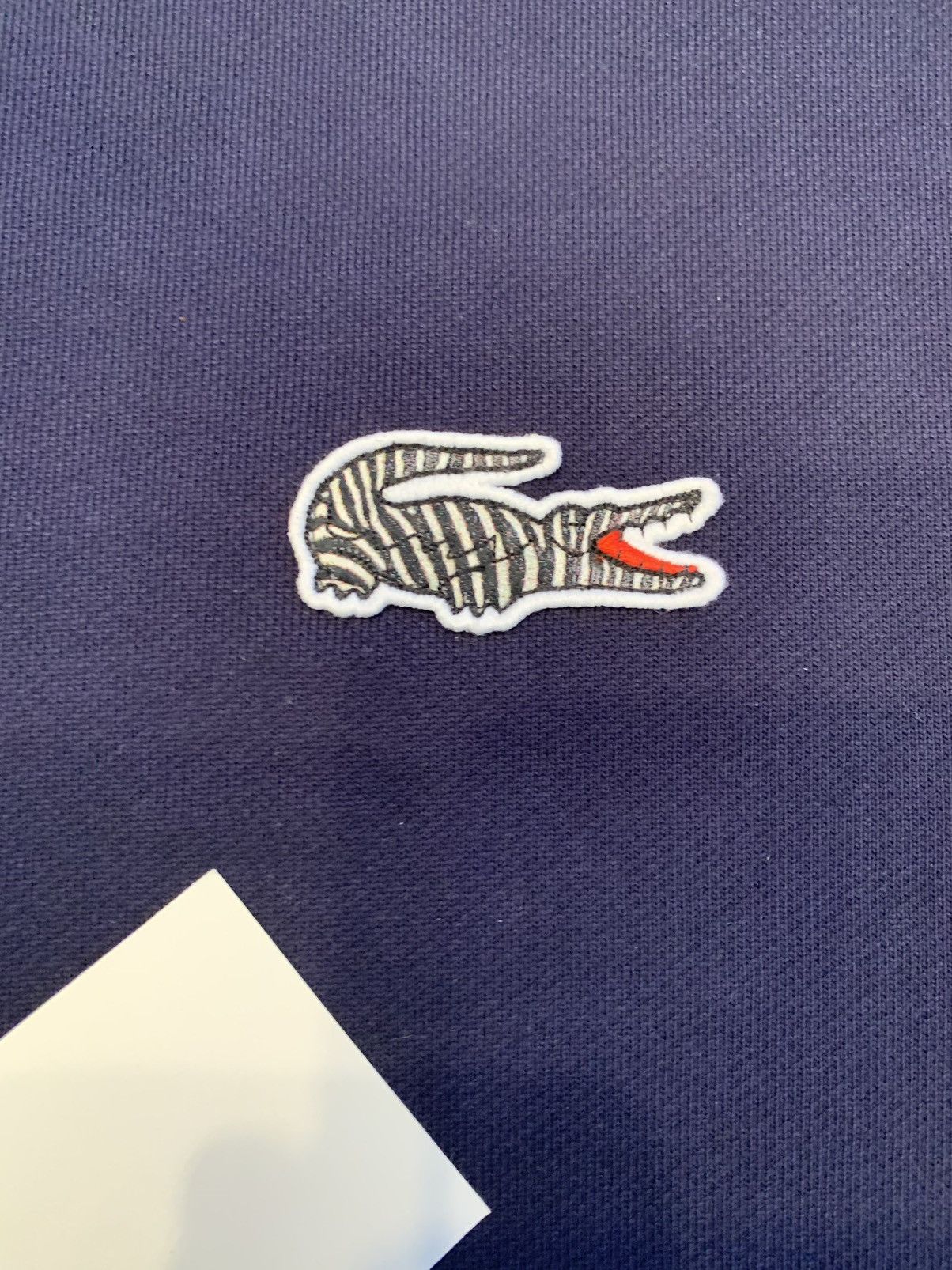 Lacoste LACOSTE x NATIONAL GEOGRAPHIC SWEATSHIRT Size US M / EU 48-50 / 2 - 10 Thumbnail