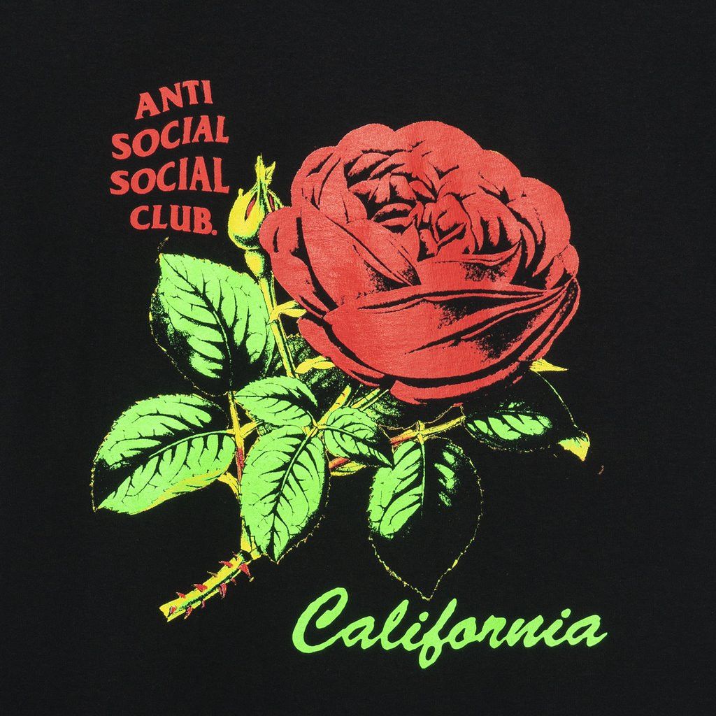 DS Green ASSC Red Rose Logo California Black Tee in hand