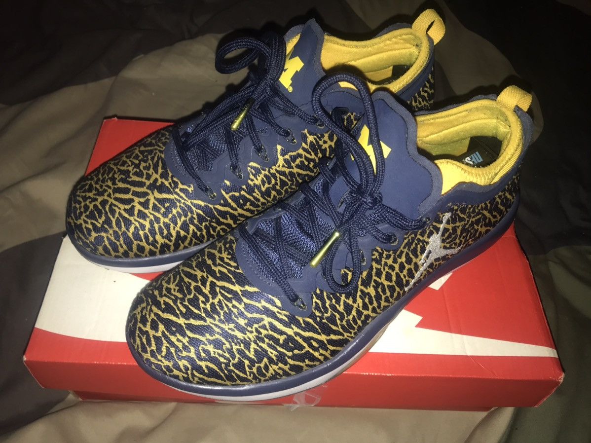 Michigan jordan trainer best sale