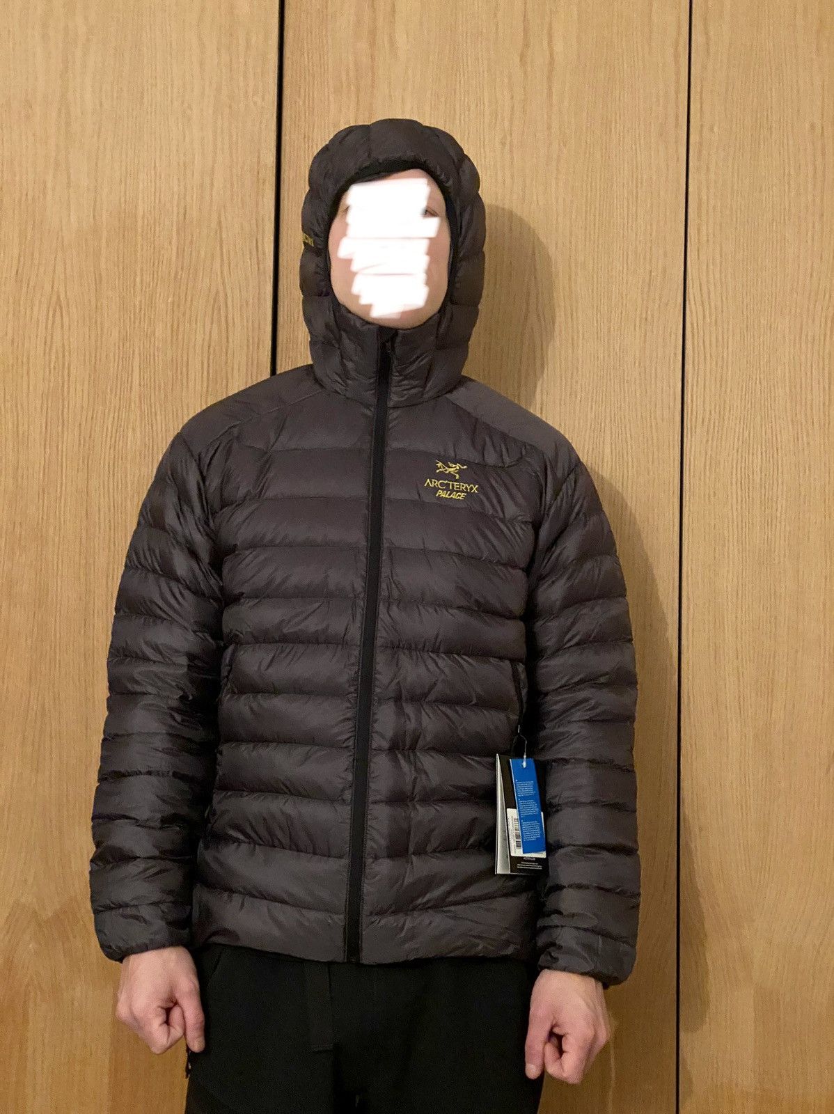 Arc'Teryx Palace x Arc´teryx Cerium LT Hoody (L) Grey | Grailed