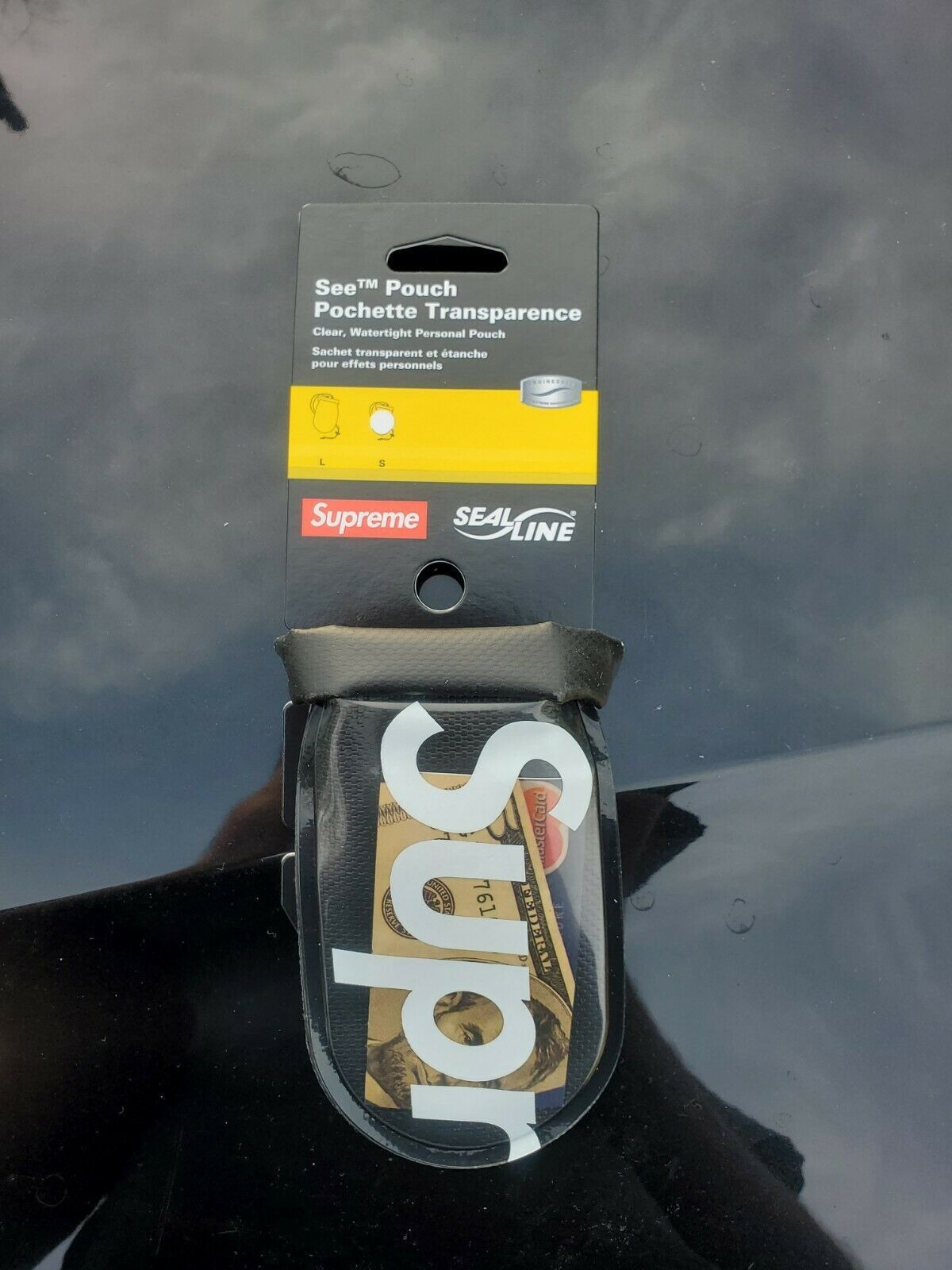 Supreme SealLine See Waterproof Small Pouch in Black