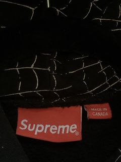 Supreme Spider Web Hoodie | Grailed