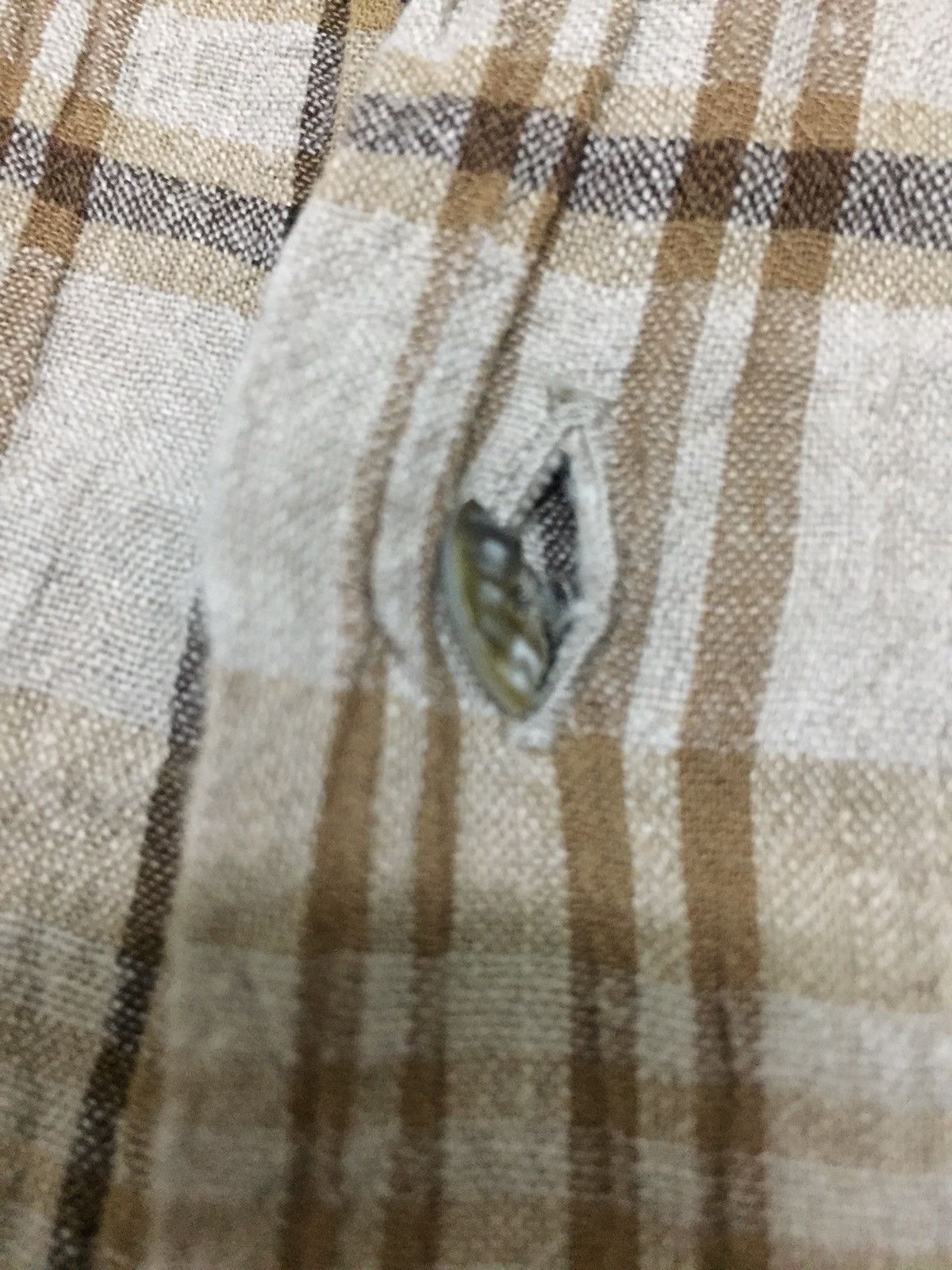 Hai Sporting Gear × Issey Miyake × Japanese Brand VINTAGE HAI SPORTING GEAR SHIRT Size US M / EU 48-50 / 2 - 3 Thumbnail