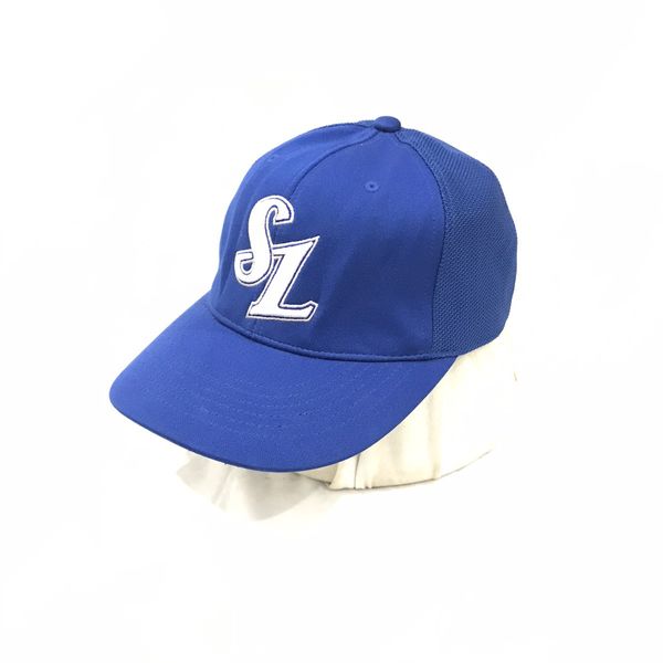 Samsung best sale lions hat