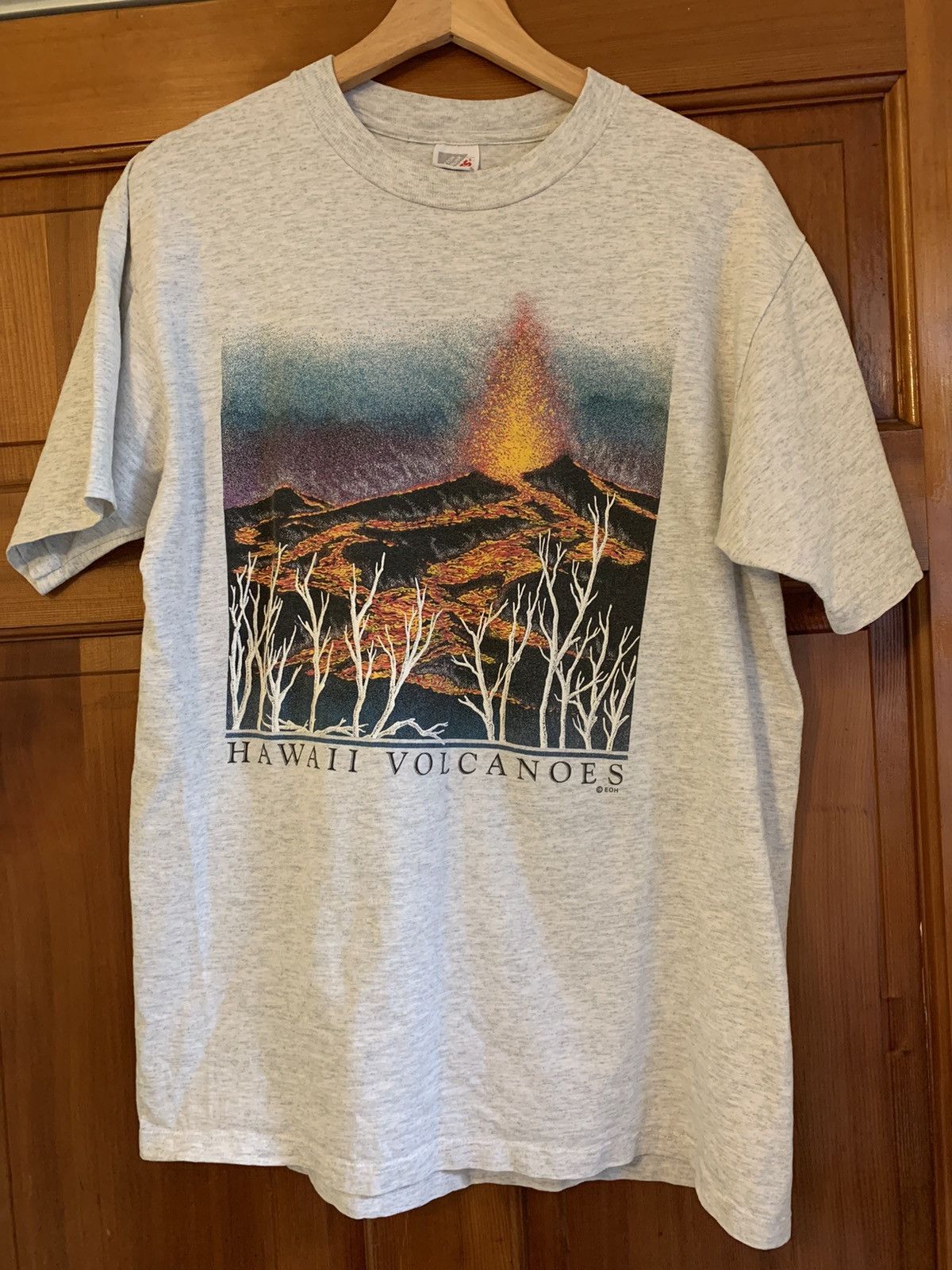 Other × Vintage *RARE* Vintage Hawaii Volcanoes Made In USA T-Shirt - L Size US L / EU 52-54 / 3 - 1 Thumbnail