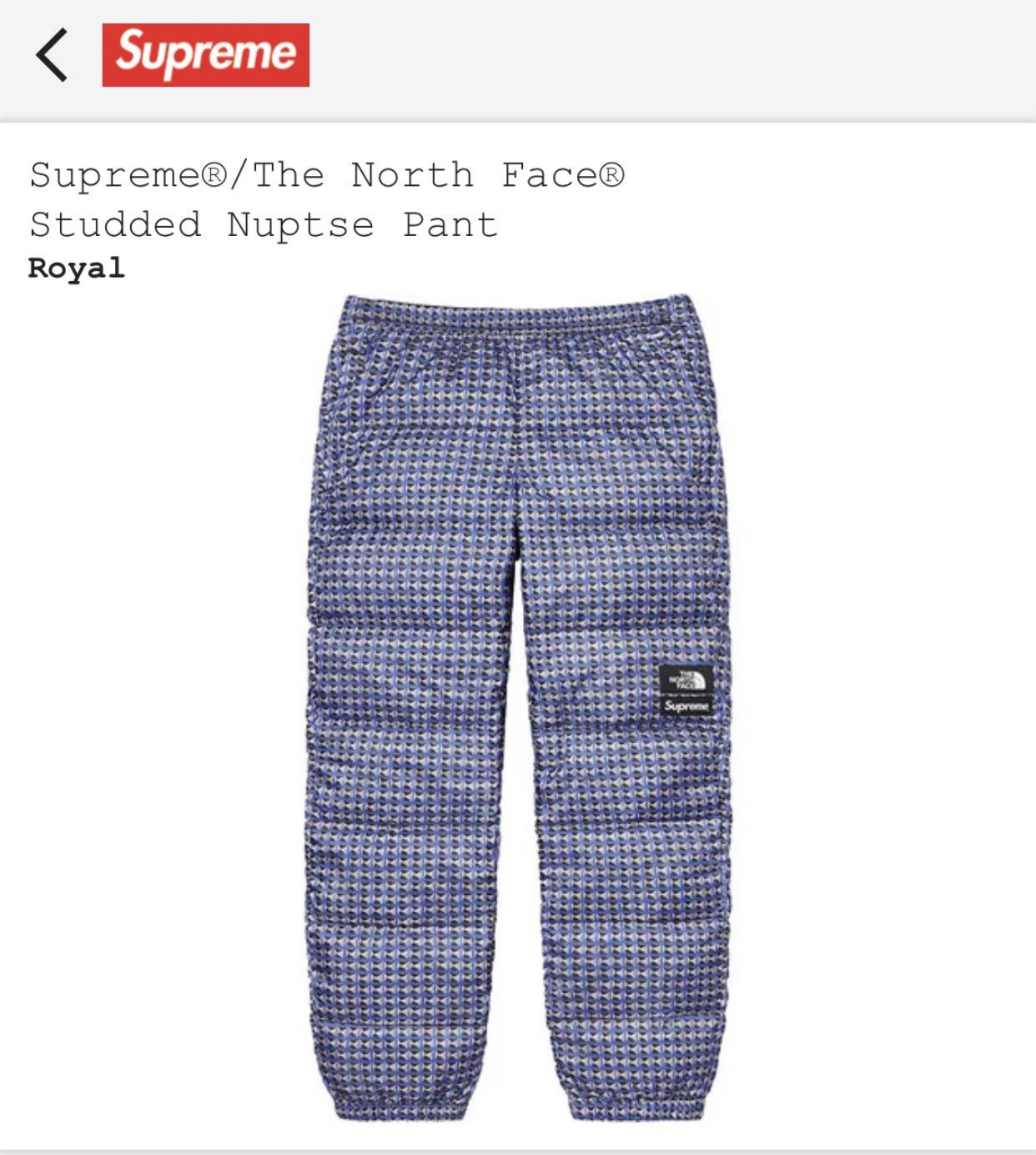 直販半額 Supreme/TheNorthFace Studded Nuptse Pant | alsus.link