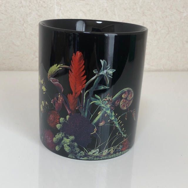 Starbucks x Fragment Design x AMKK Mug