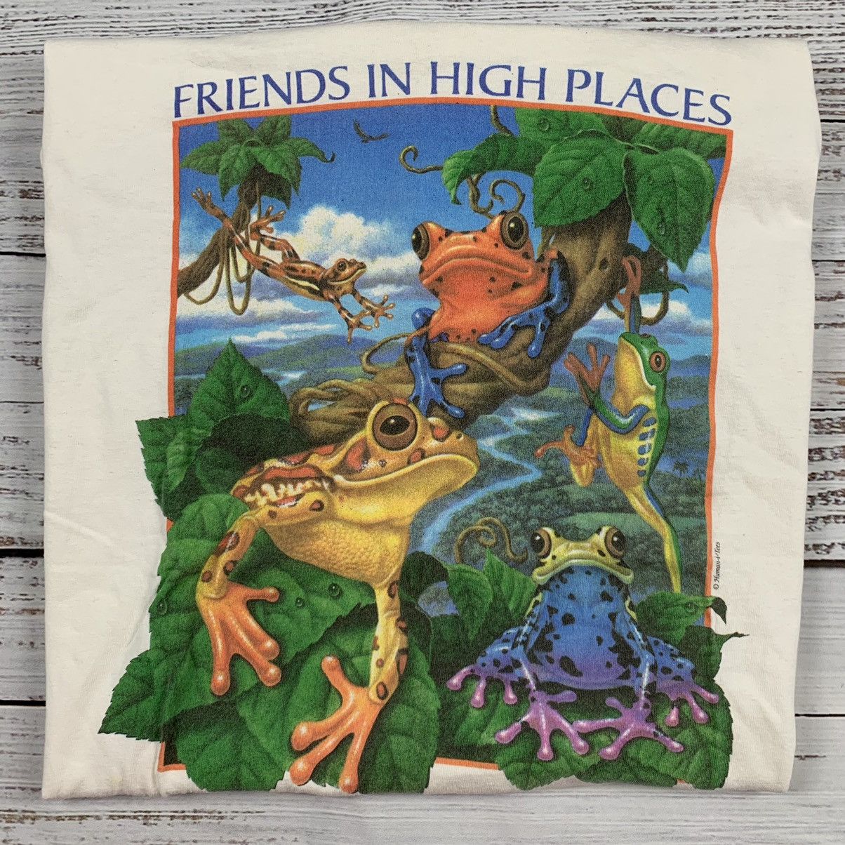 Vintage Vintage 90s frog friends in high places graphic animal 