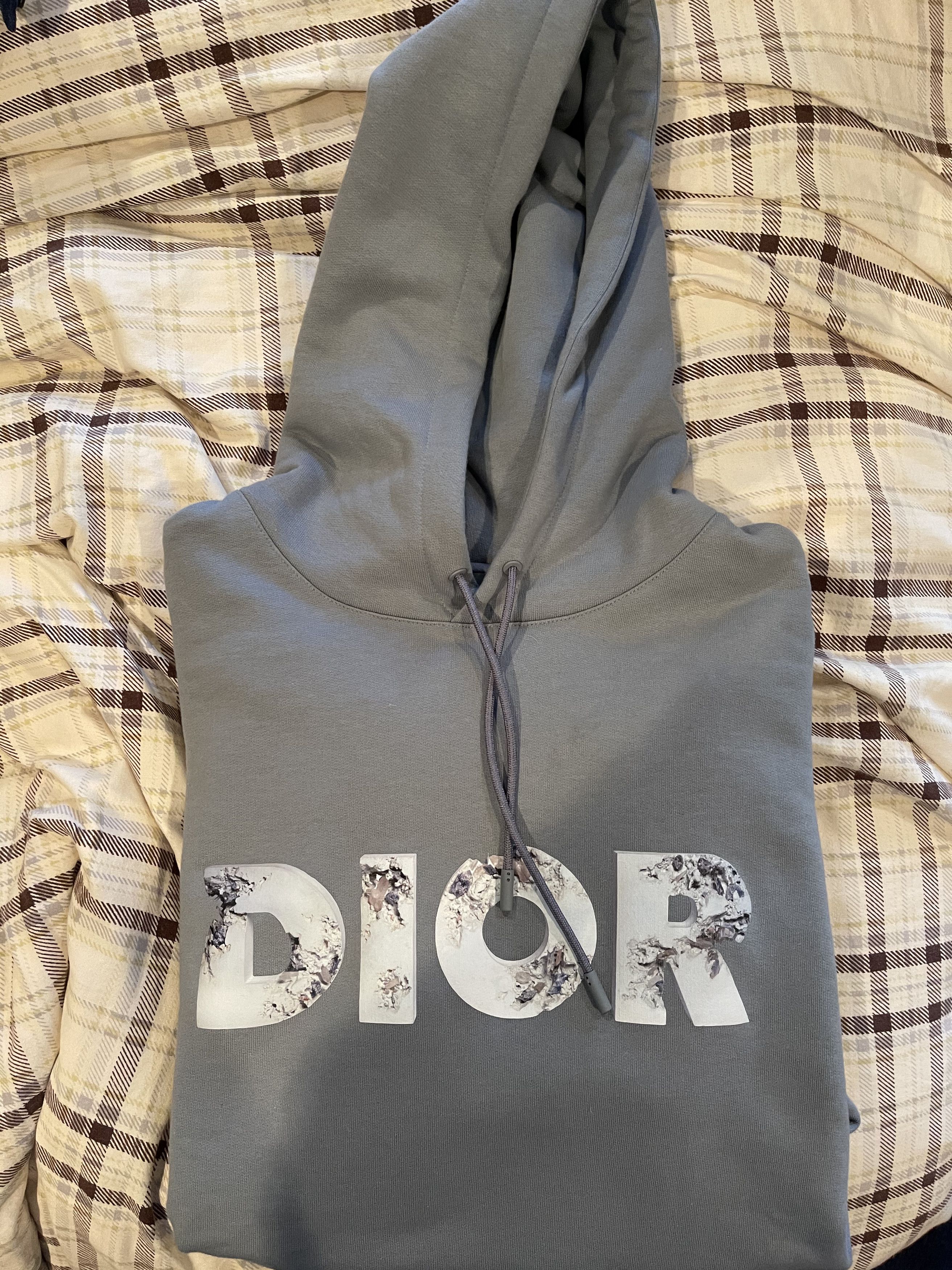 dior daniel arsham 3D logo Hoodie-