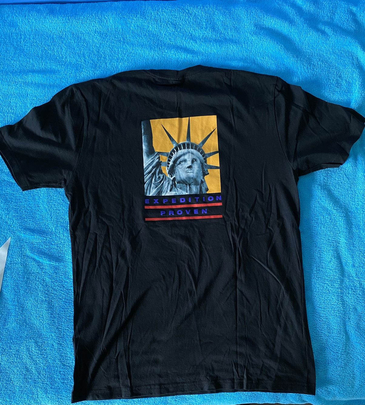 Supreme × The North Face Supreme the north face Statue of Liberty 