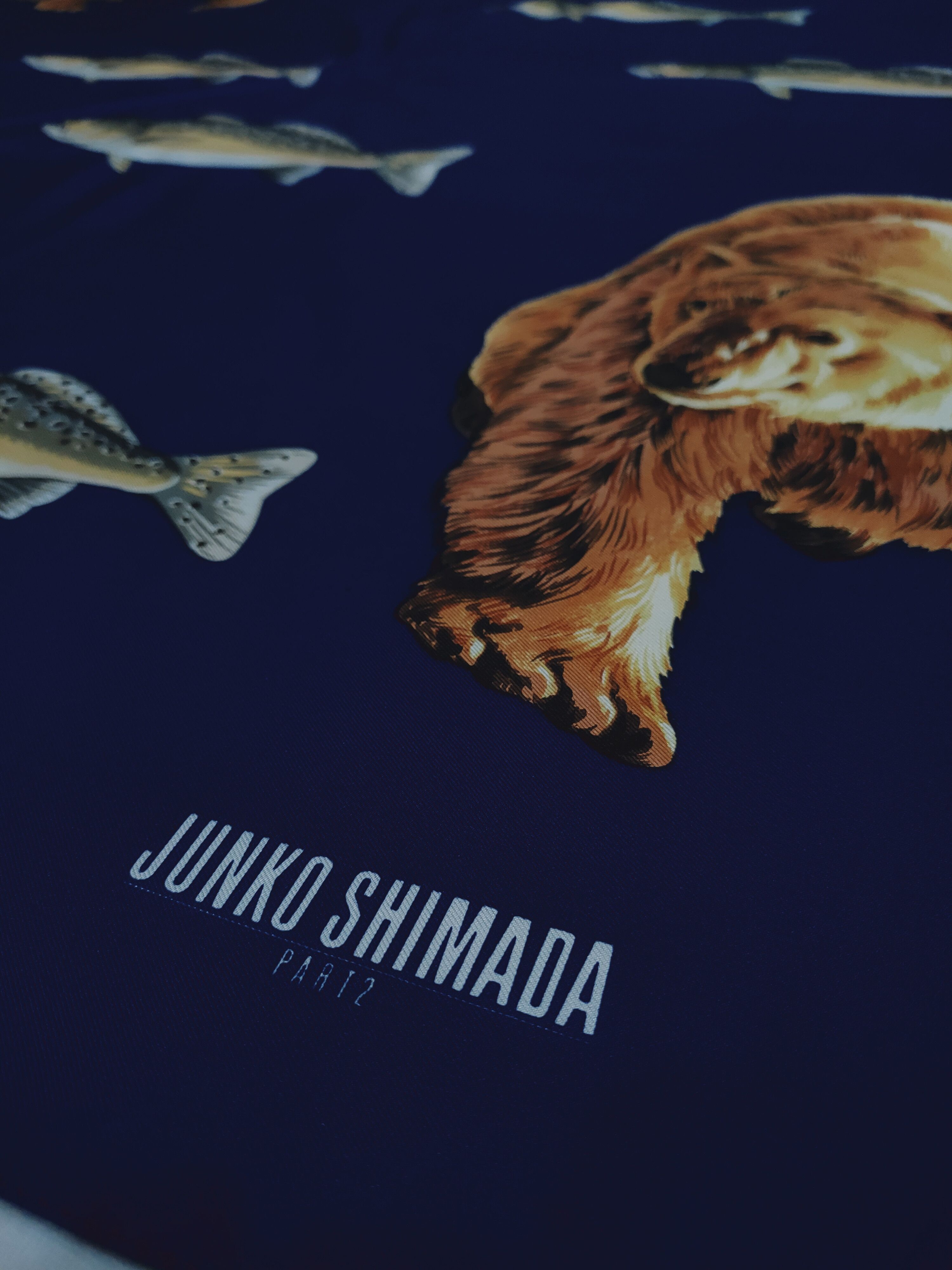 Junko Shimada JUNKO SHIMADA PART II BEAR SALMON SILK SCARF Size ONE SIZE - 5 Thumbnail